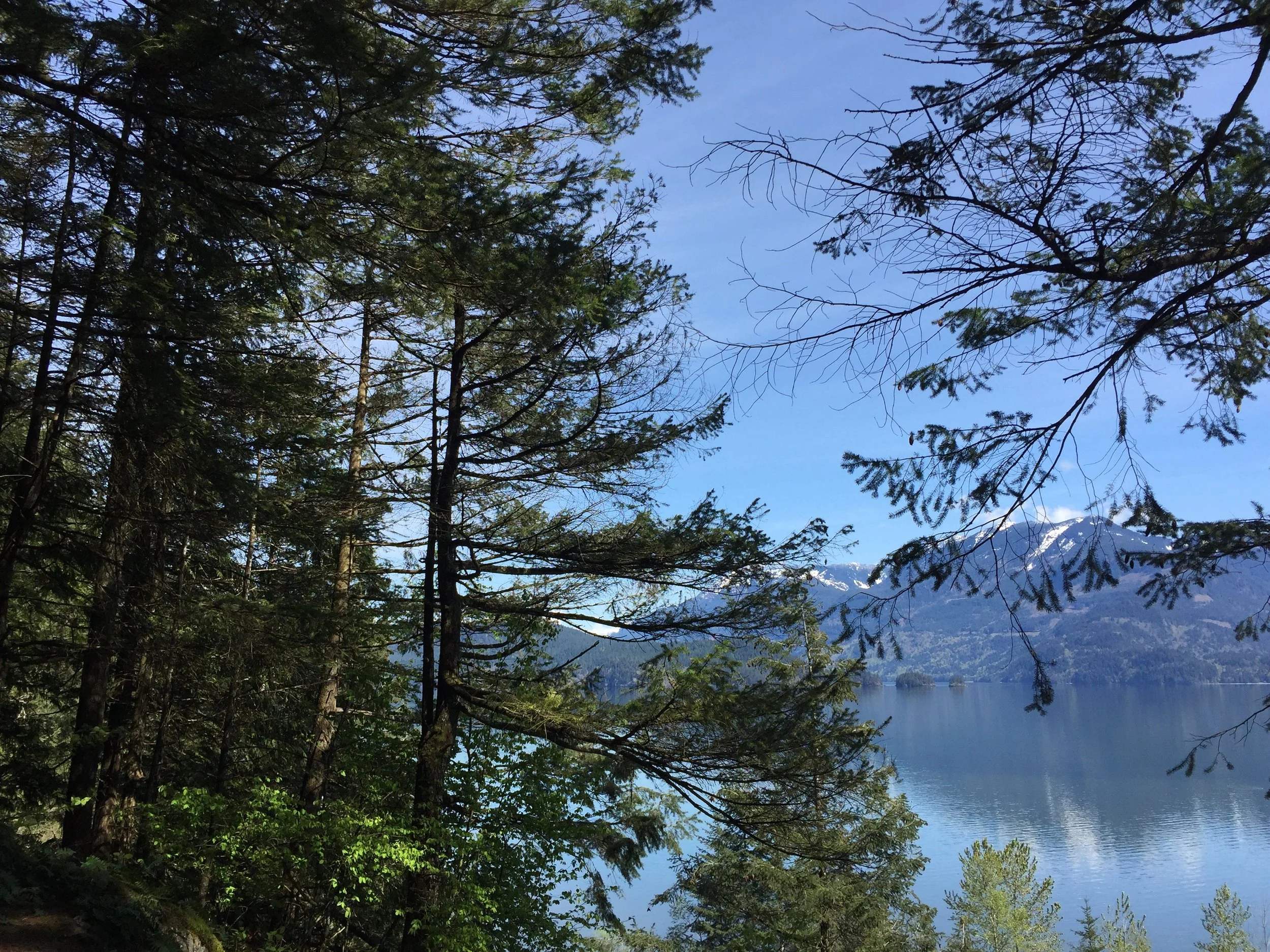 Harrison Lake from Whipperwill Trail