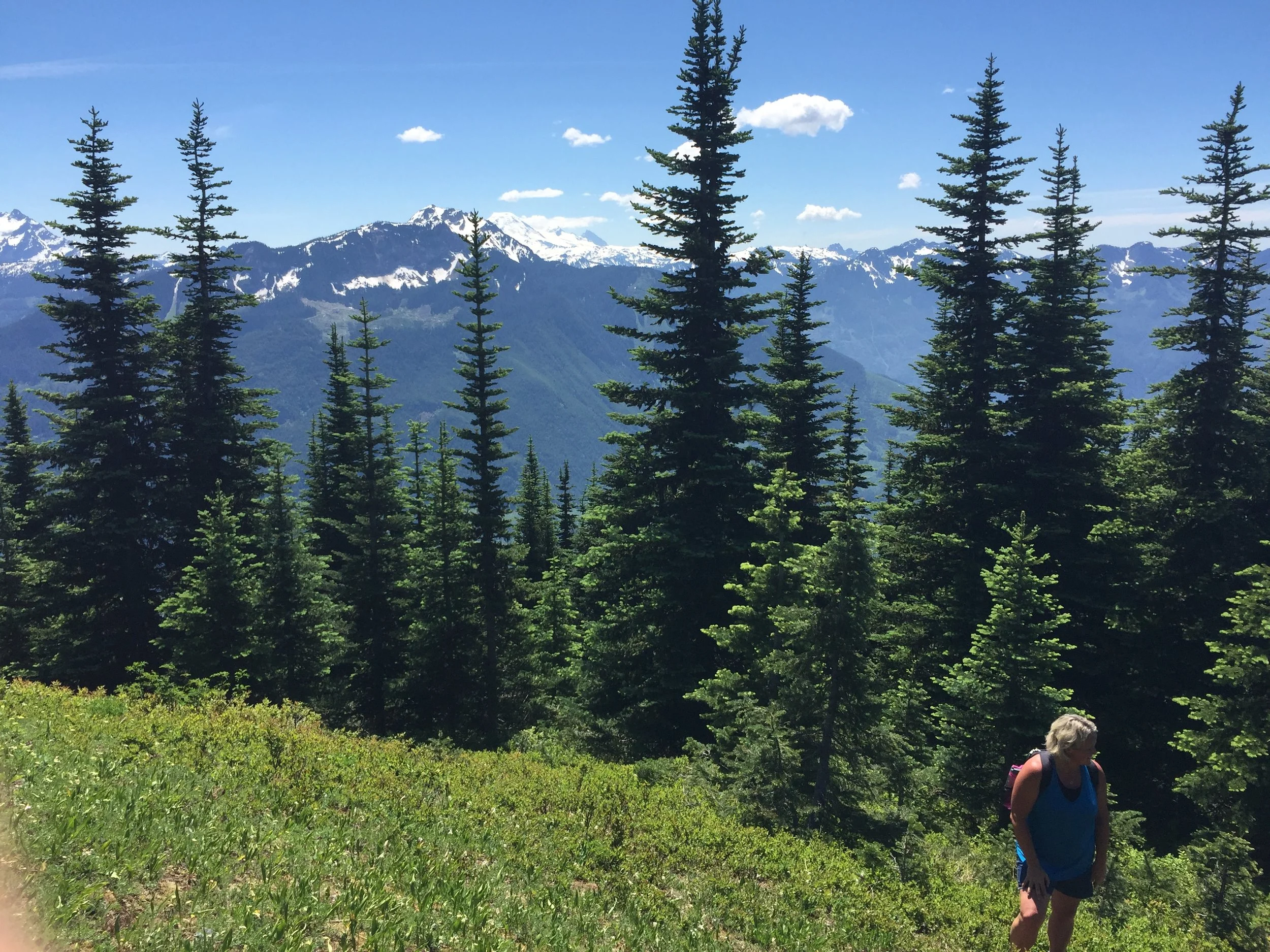 Elk to Thurston - June 28, 2017