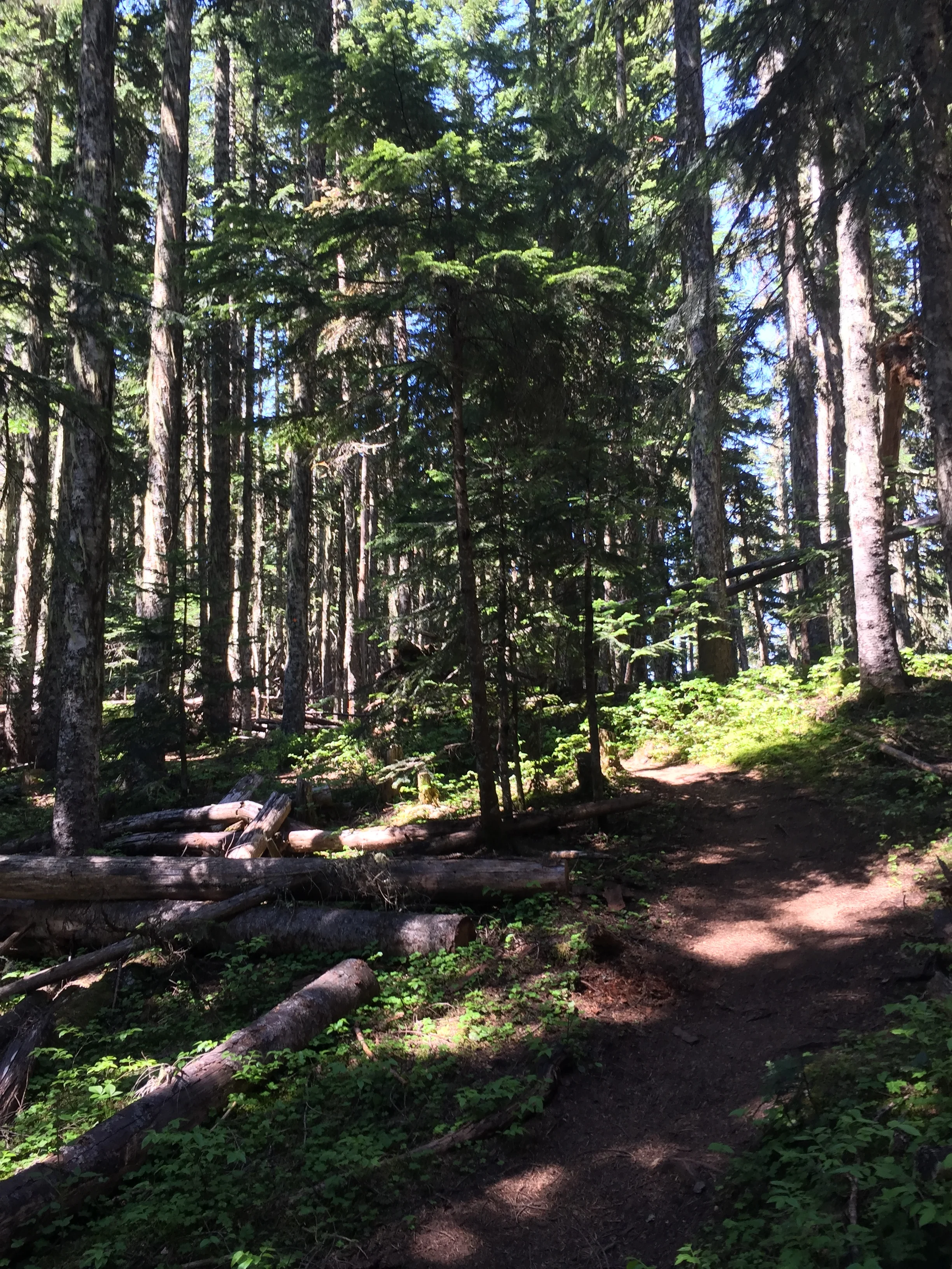 Elk to Thurston - June 28, 2017