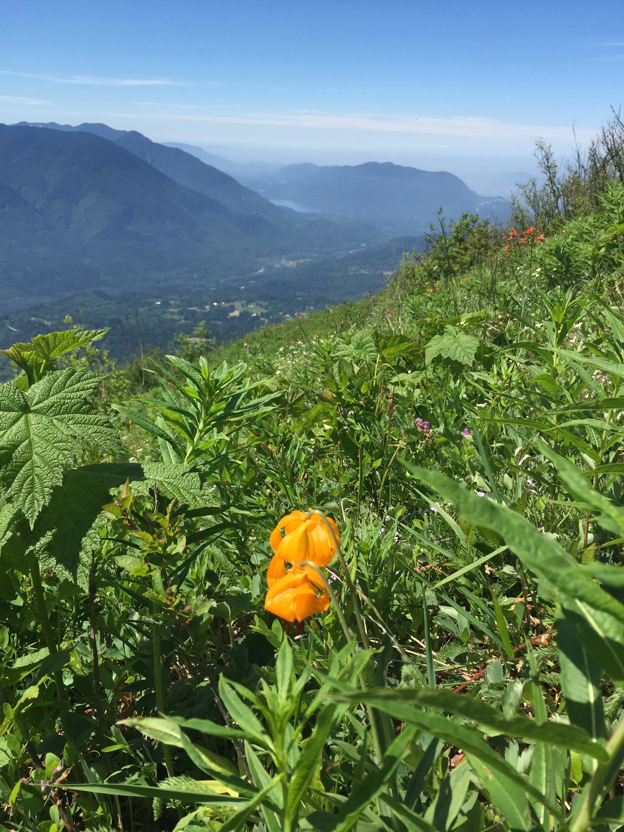 Elk to Thurston - June 28, 2017