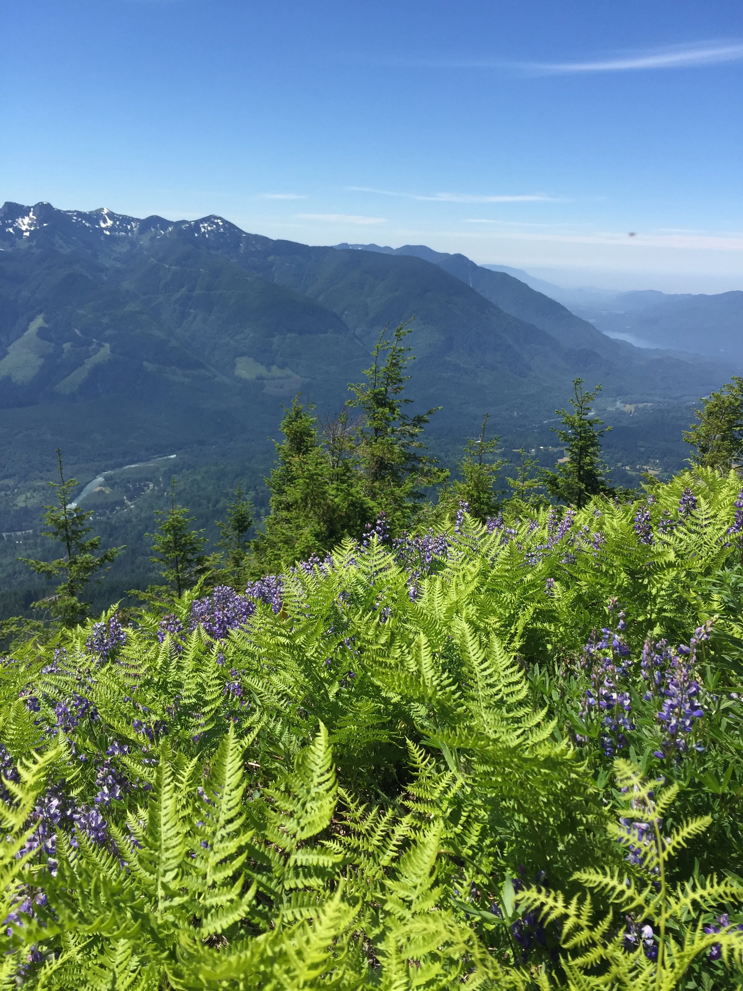 Elk to Thurston - June 28, 2017