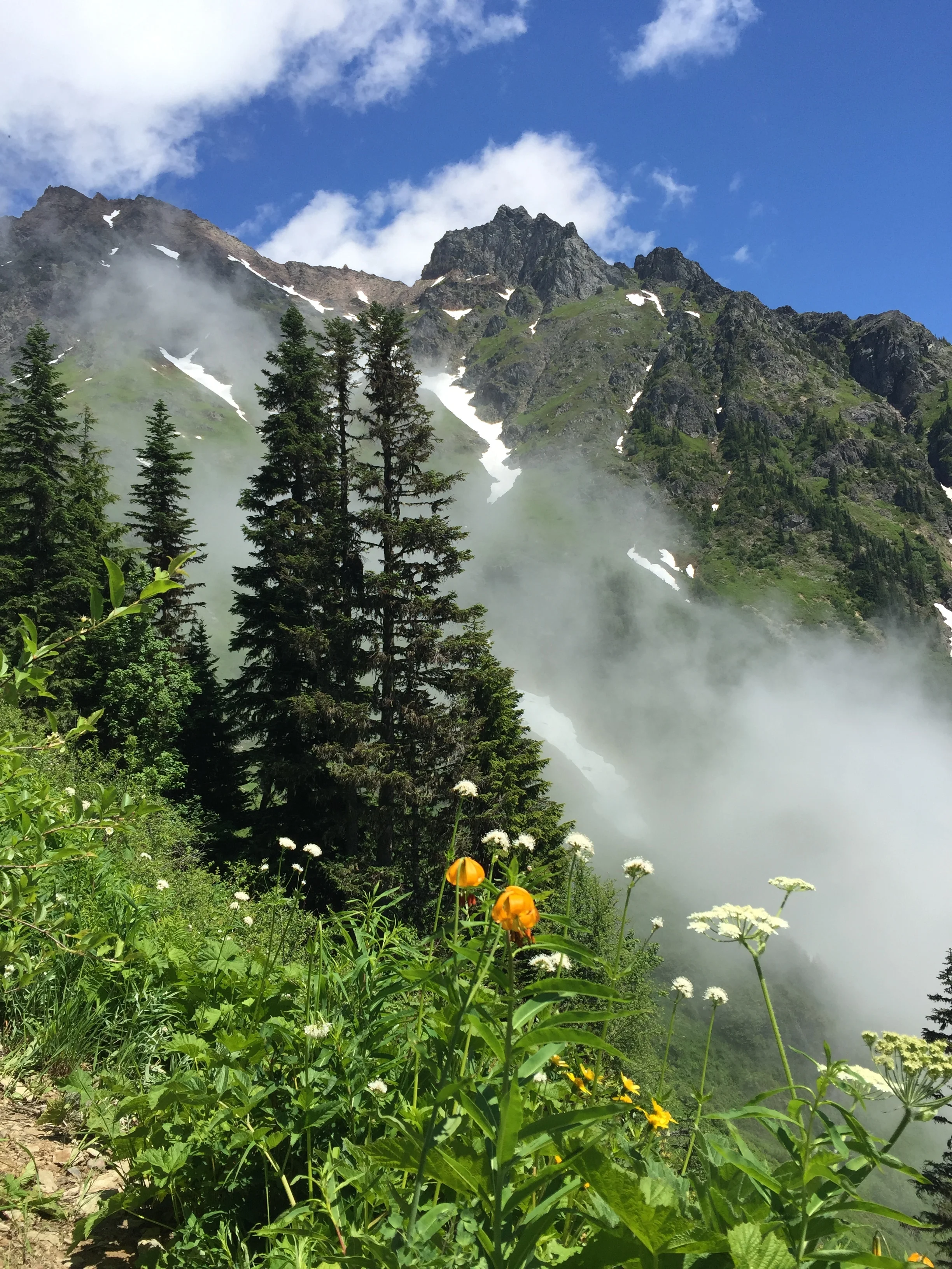 Williamson Lake Hike