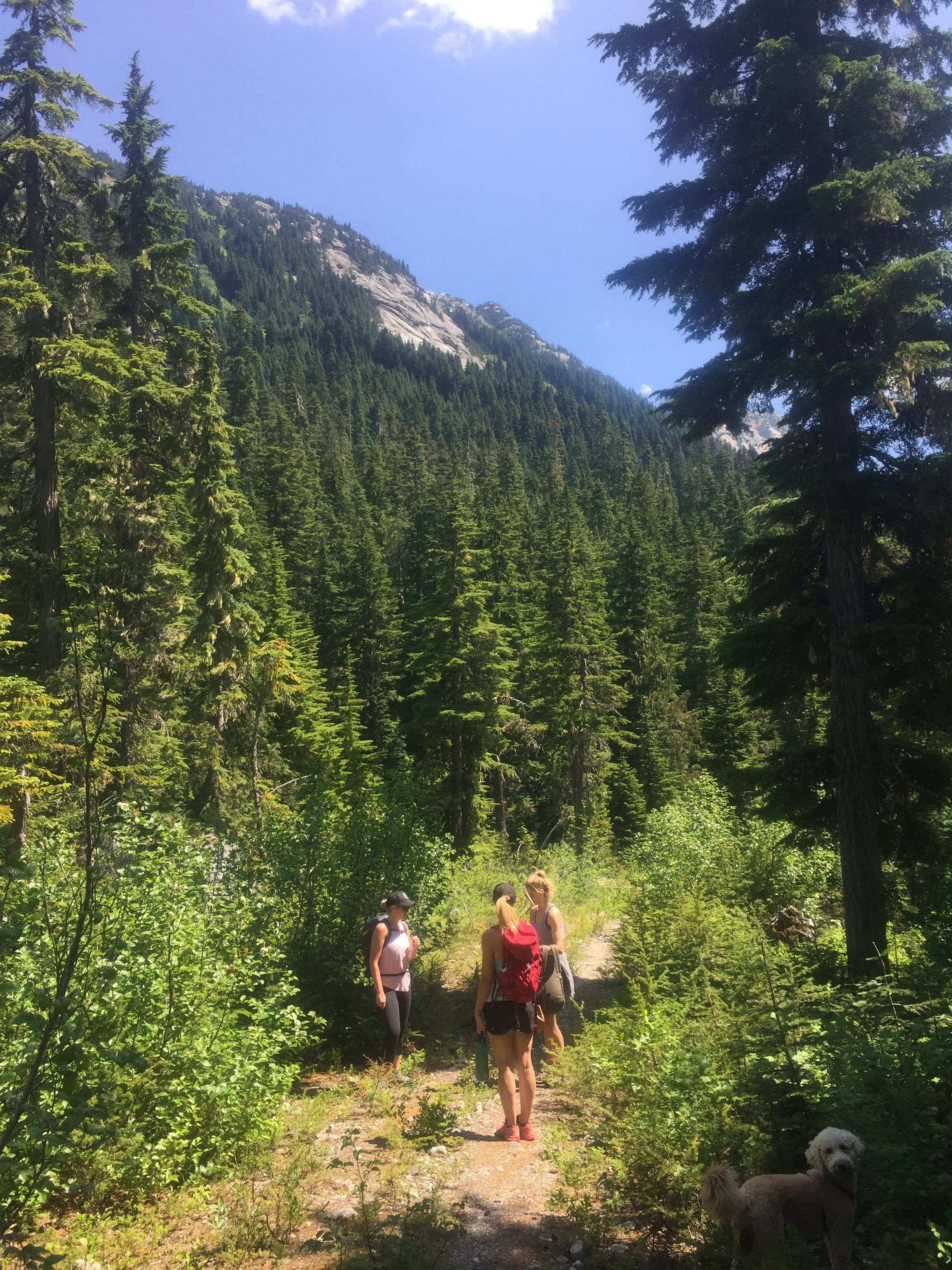 Coquihalla Summit Recreation Area