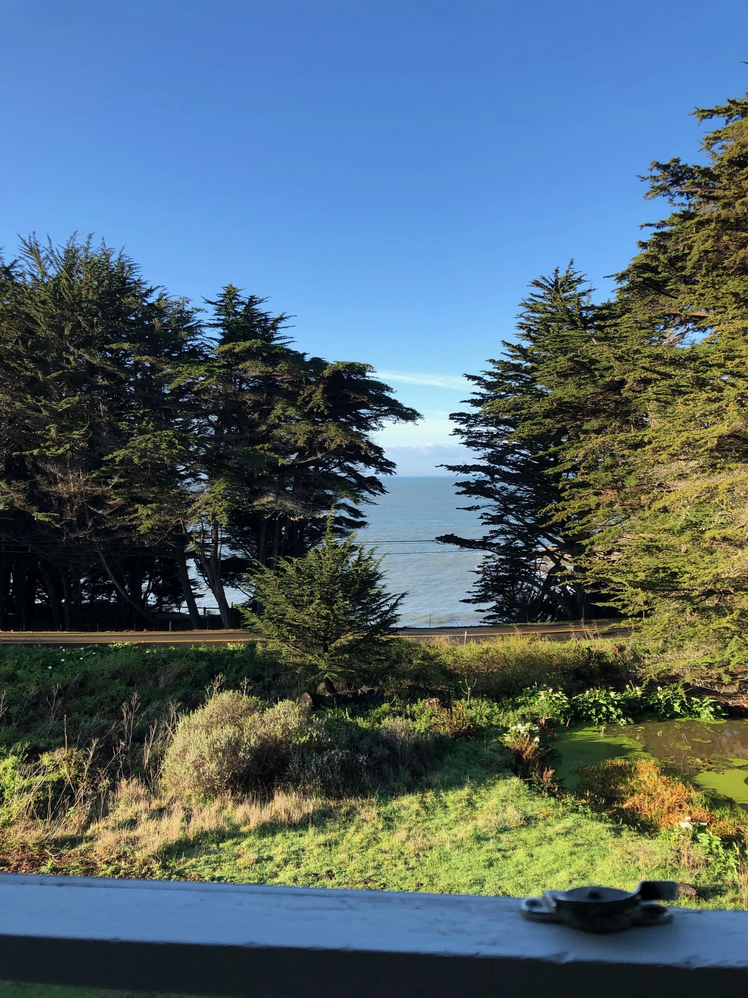 Pond to the right, Pacific straight ahead…
