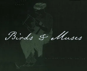 birdsandmuses background dark_inverted.jpeg