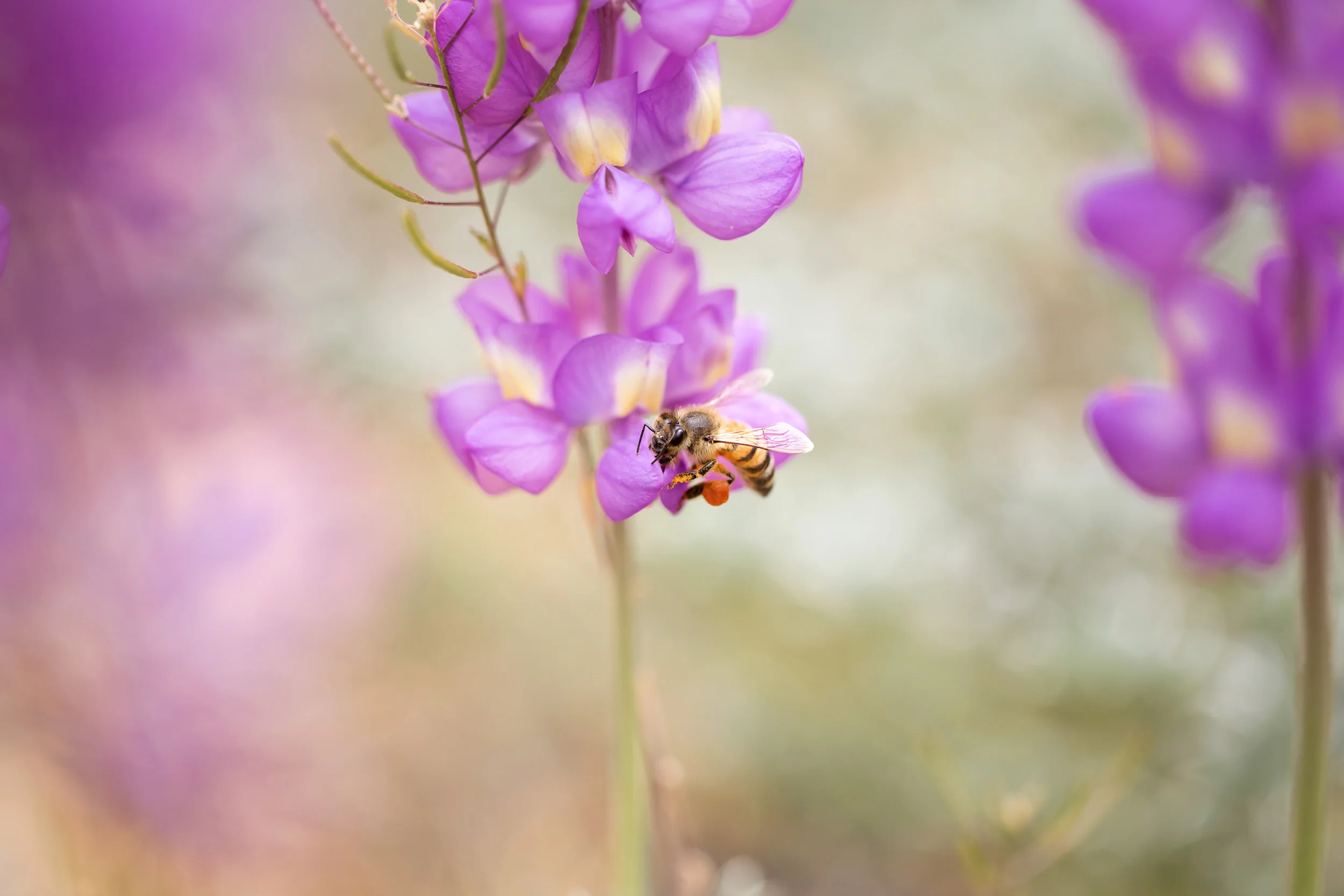 IMG_1077-Edit_full_res.jpg