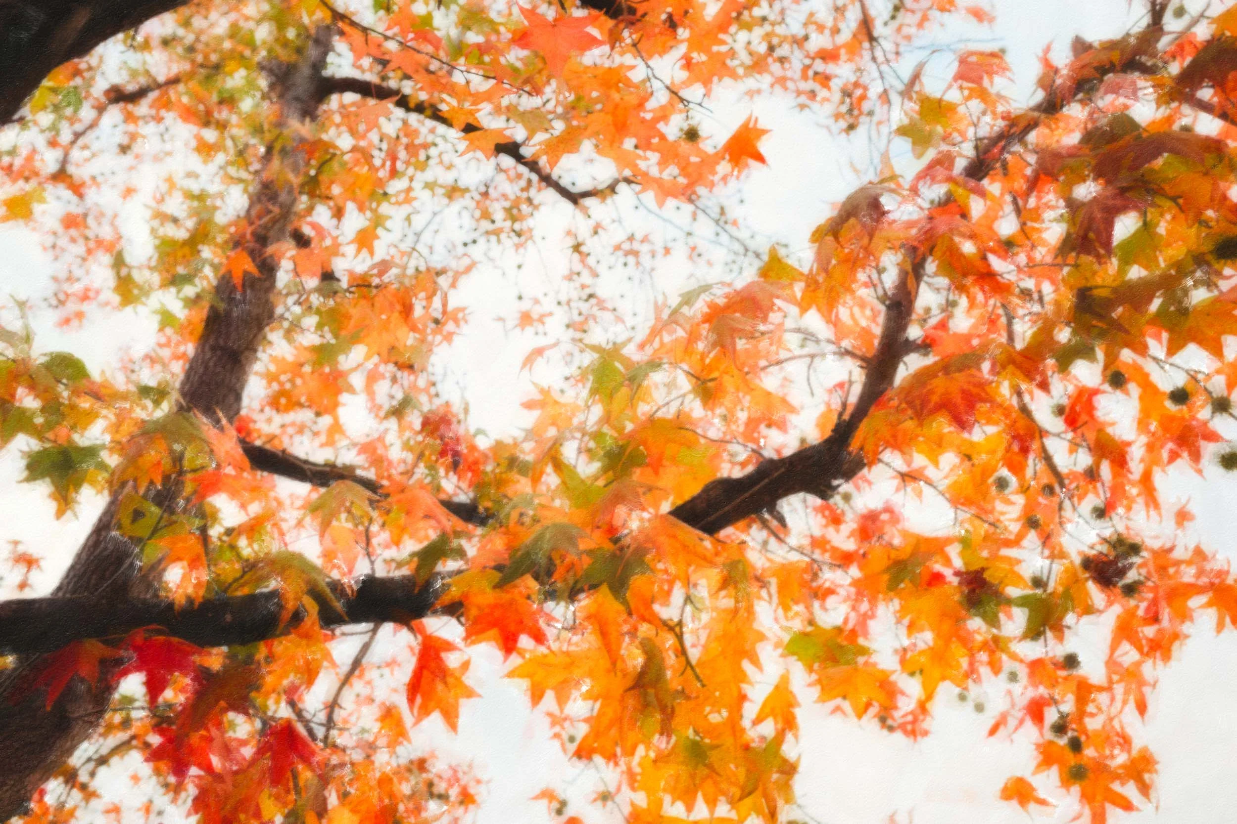 7Q1A0066-Edit-Edit_full_res.jpg