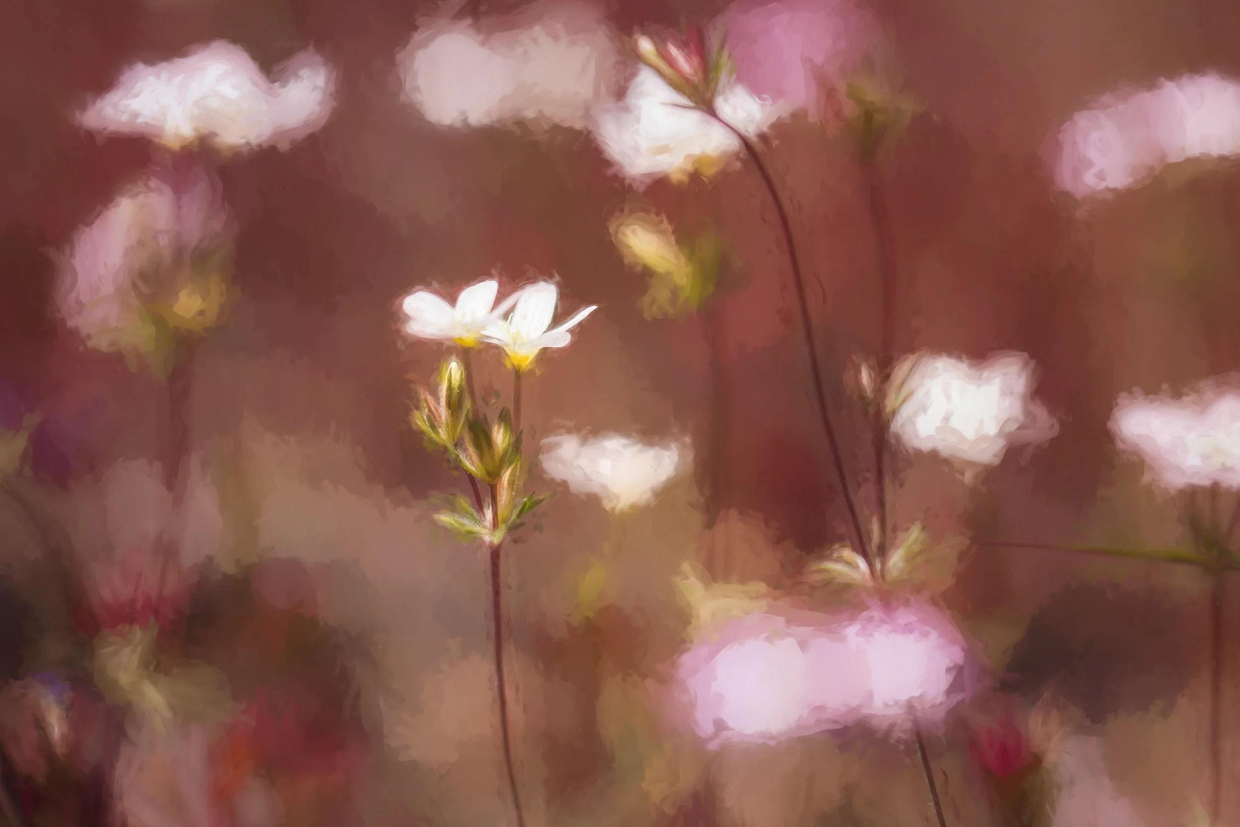 IMG_3621-Edit-Edit_full_res.jpg