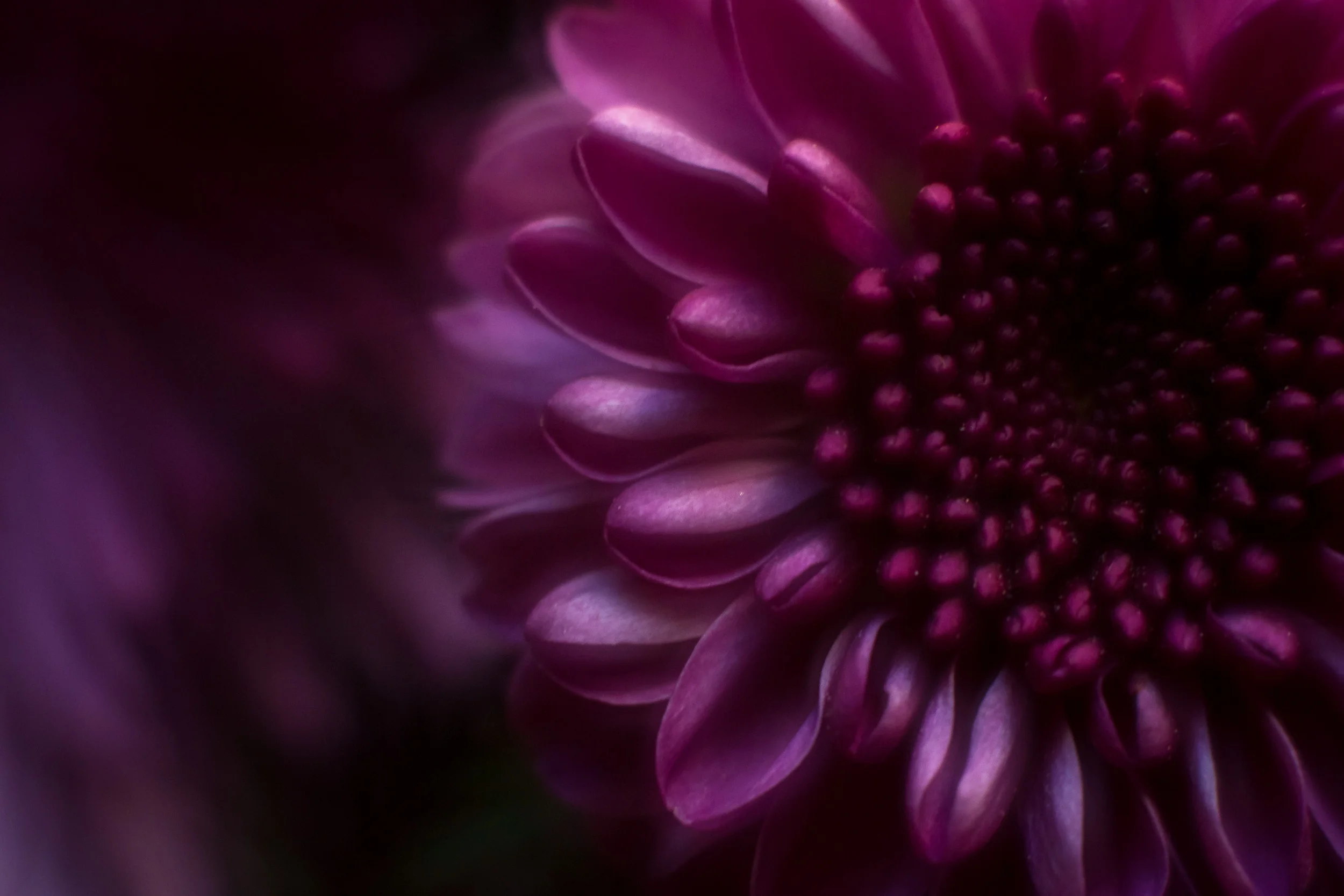 7Q1A6561-Edit_full_res.jpg