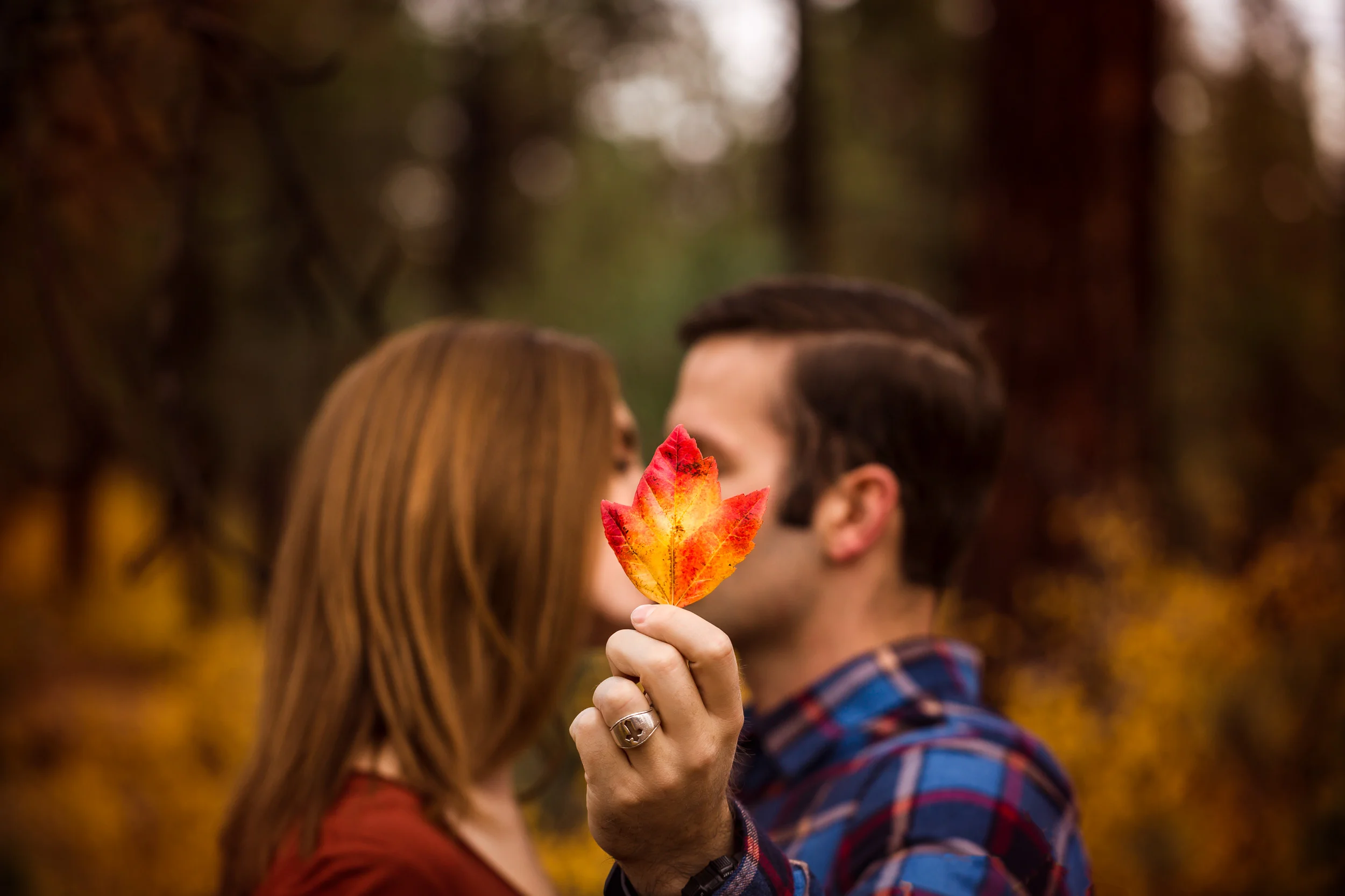 7Q1A9456-Edit_full_res.jpg