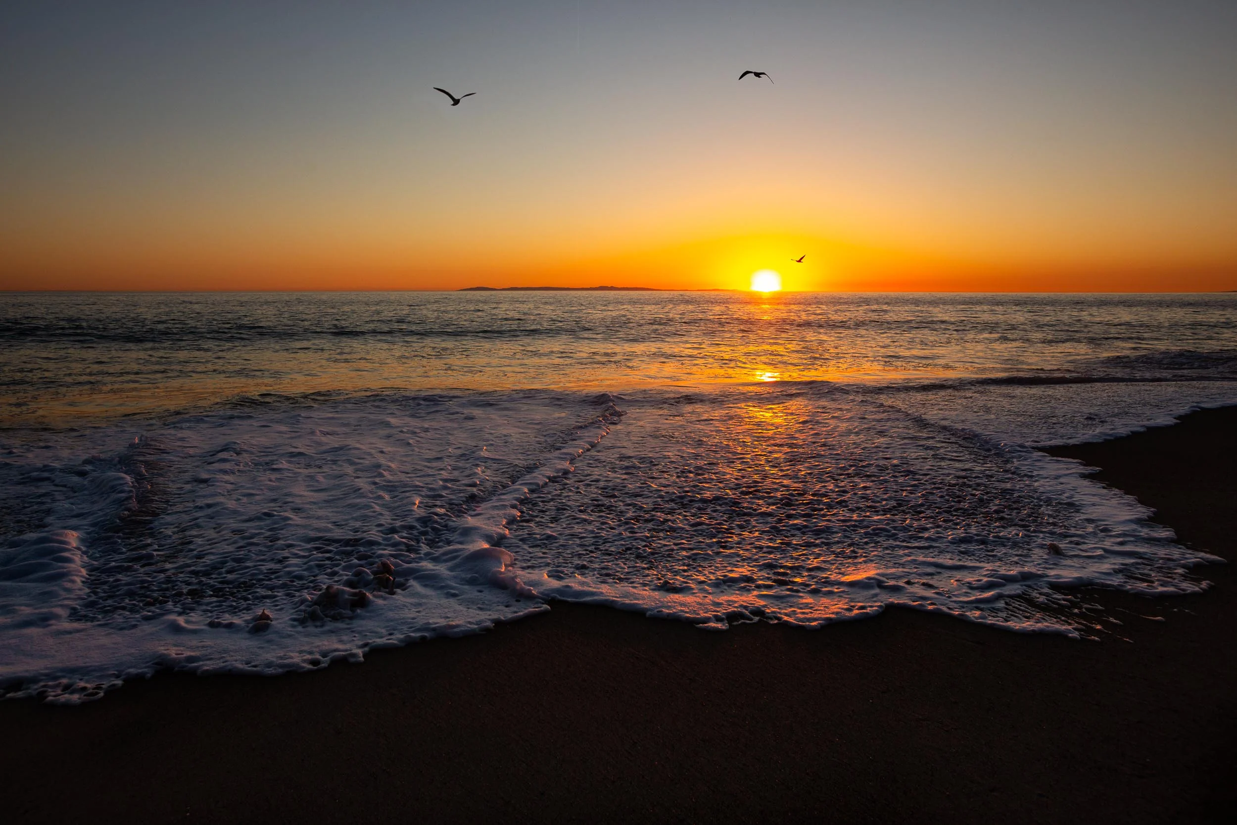 7Q1A5617-Edit-Edit_full_res.jpg