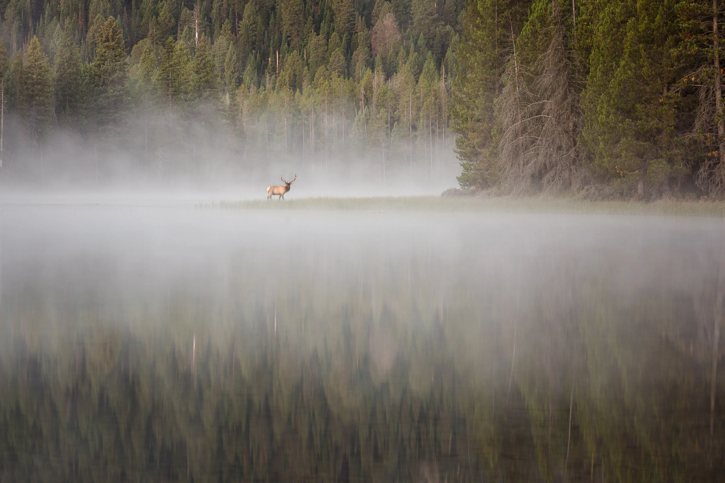Grand Tetons and Yellowstone-21.jpg