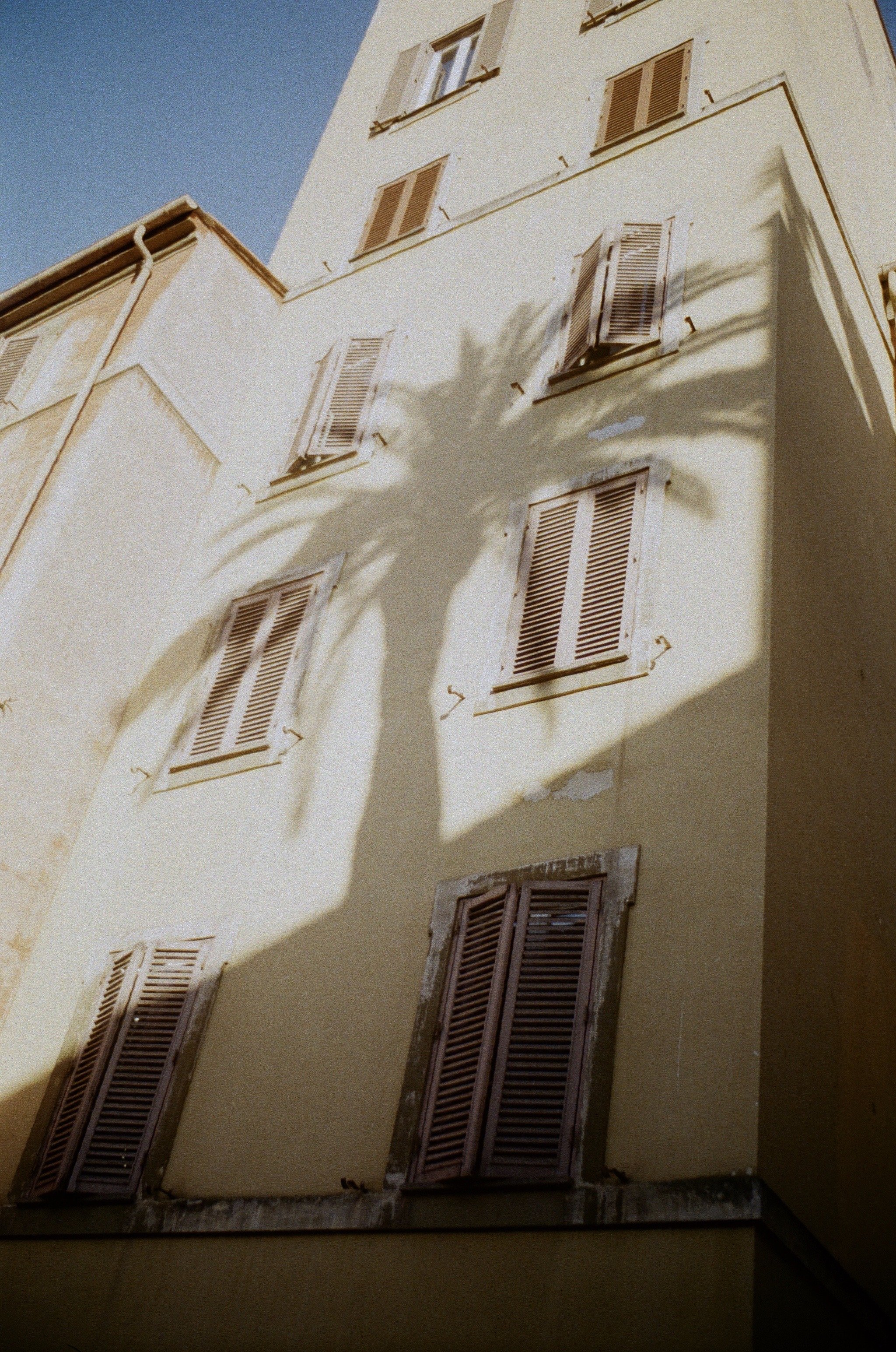 000010010067 copy.jpeg