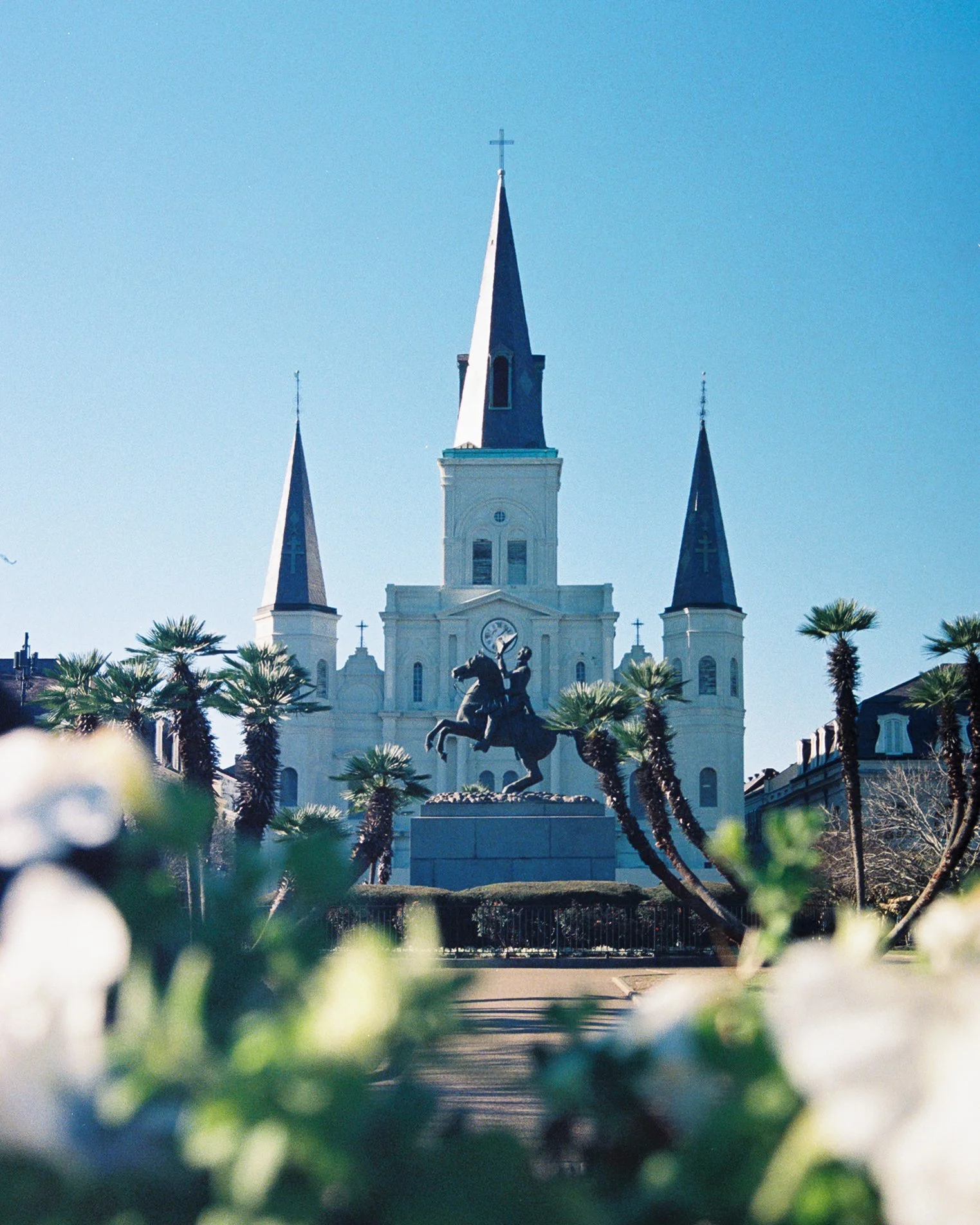 nola3.jpg