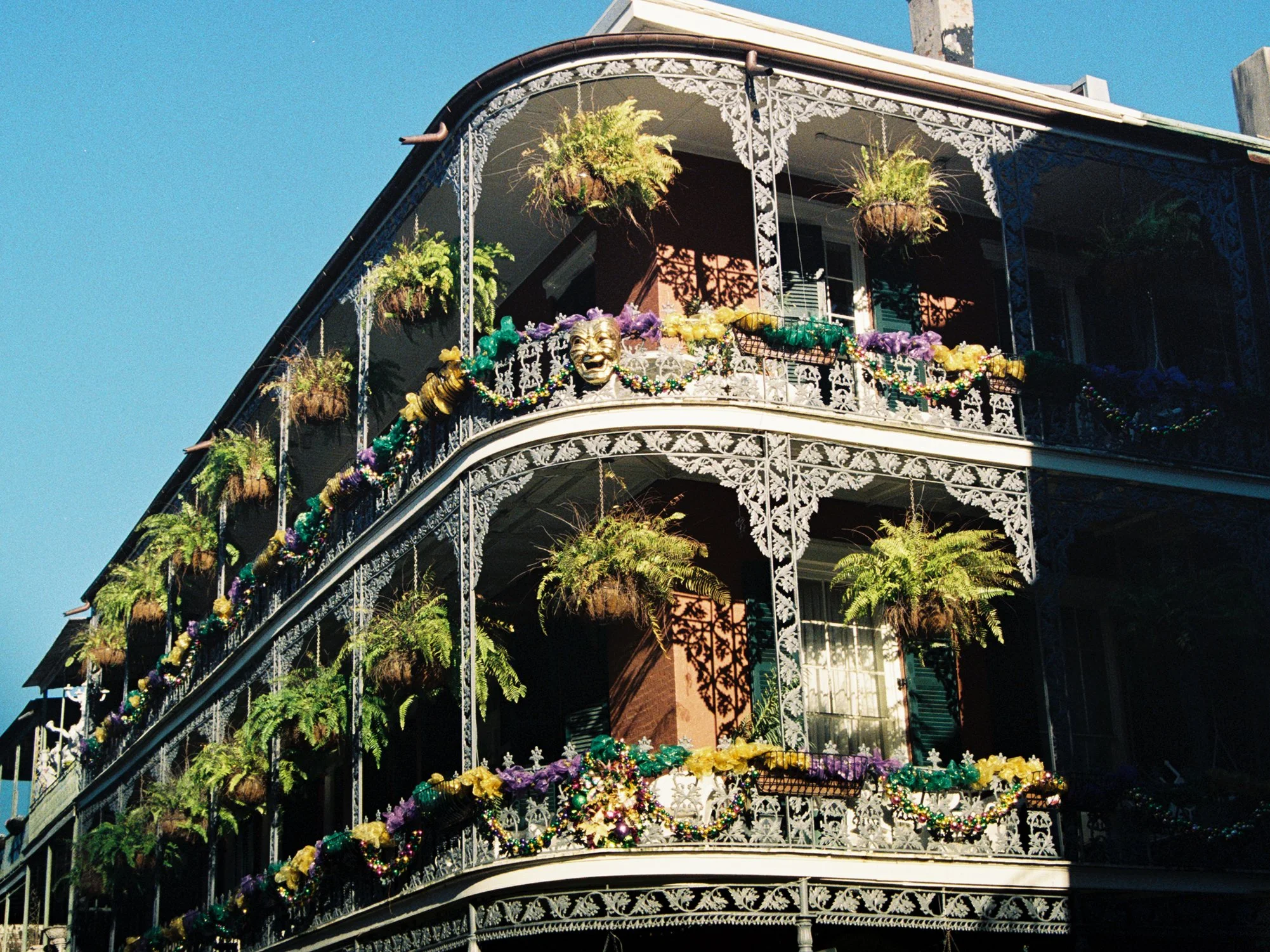 nola.jpg