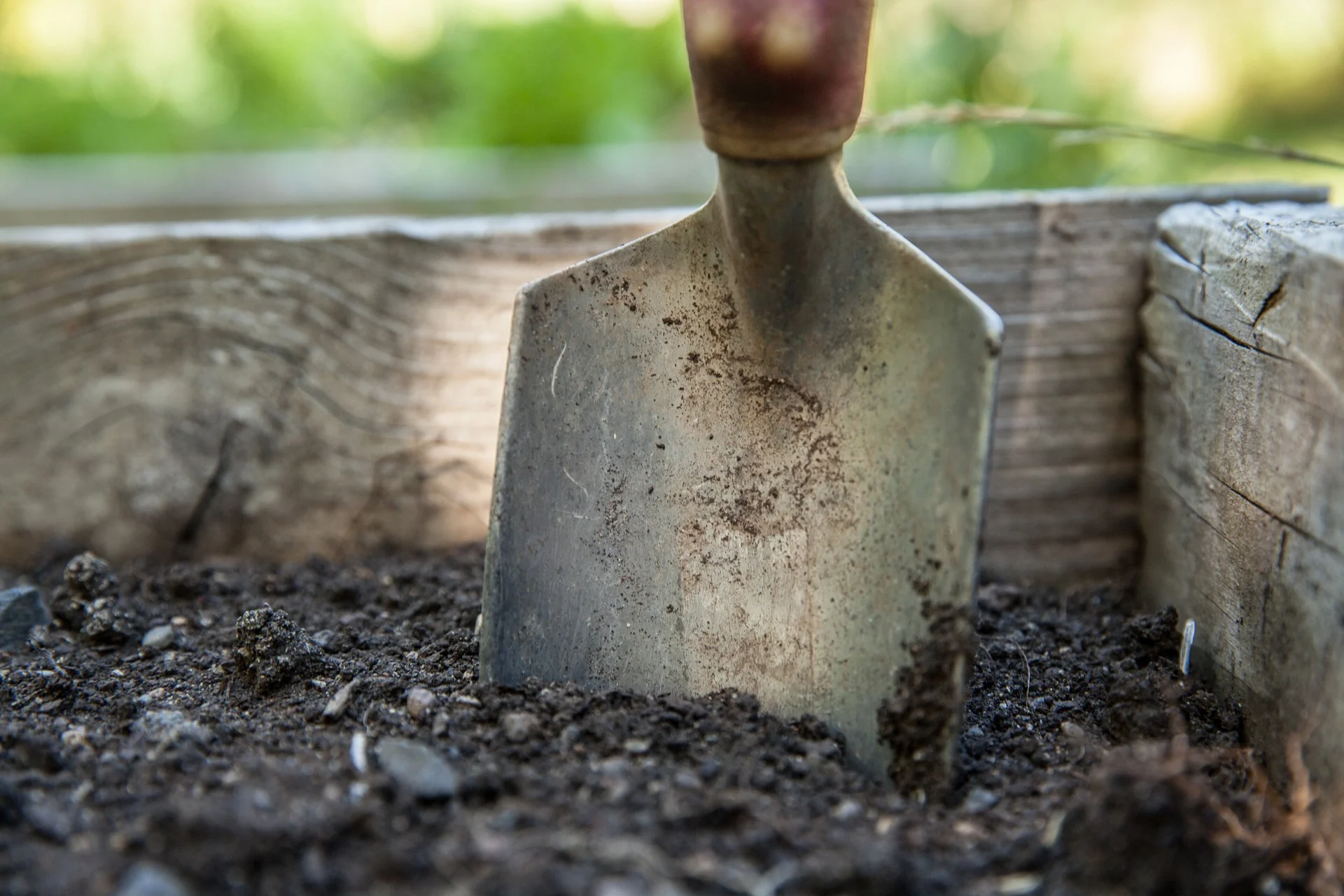 Episode 2: Building healthy soil