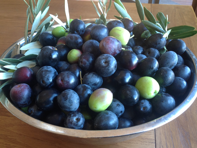 Preserving Olives