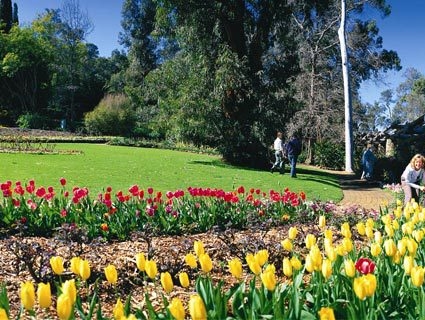 Episode 12: Araluen Botanical Park with John Colwill