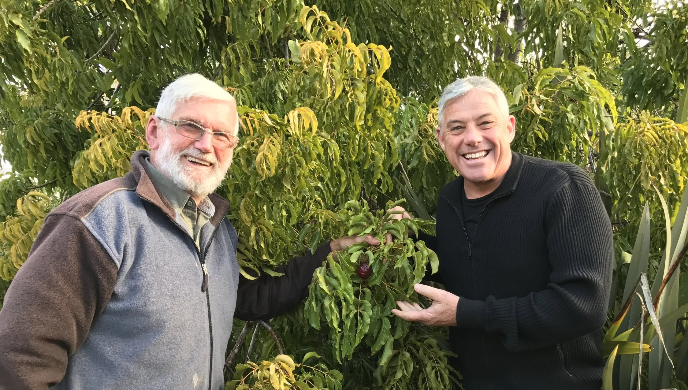 Episode 19: Dr Bob Longmore