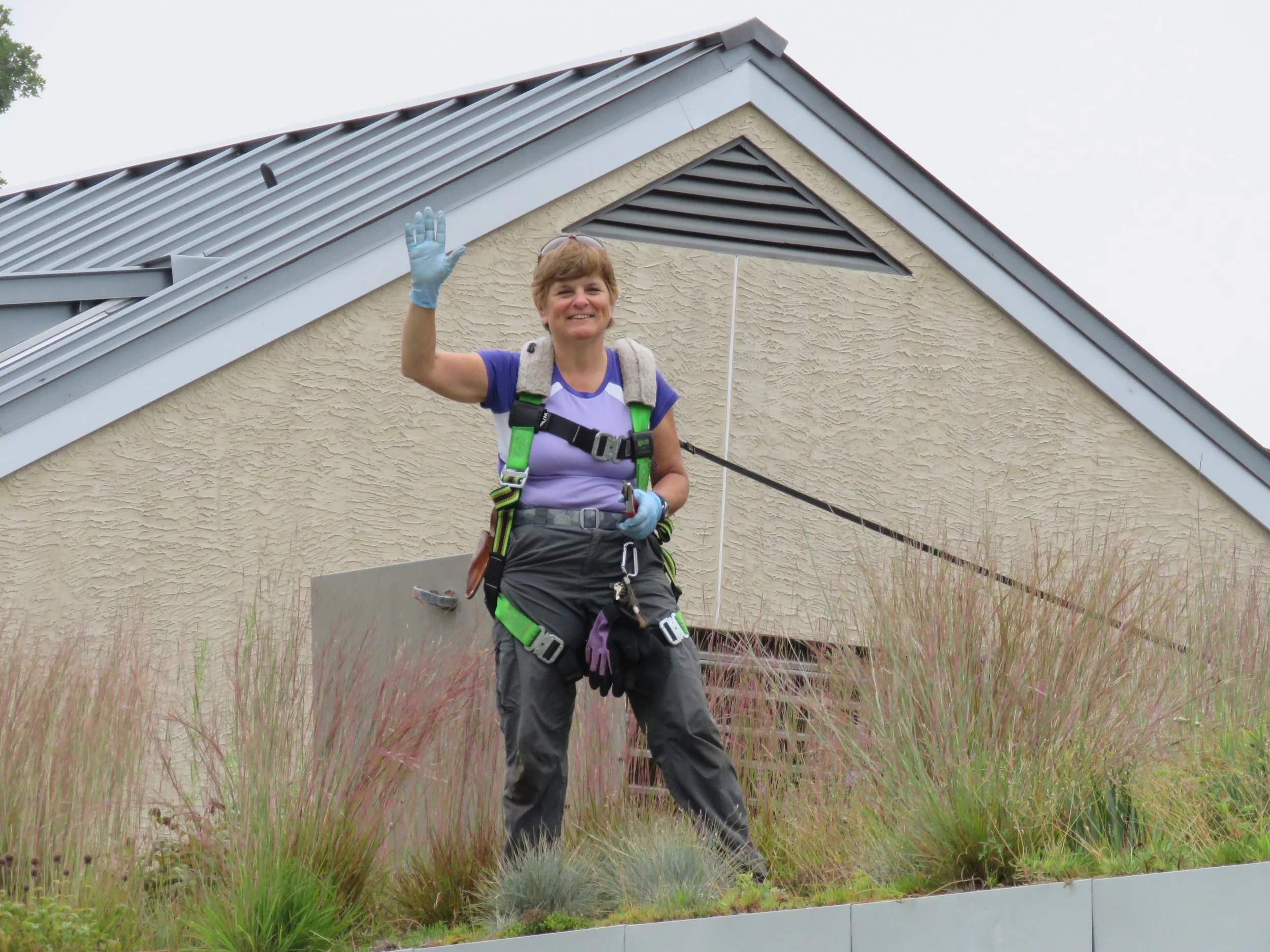 Episode 28: Growing Your Own Green Roof