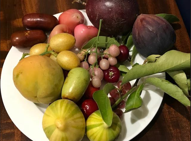 Episode 40: Joe Tassone from Tass 1 Nursery 