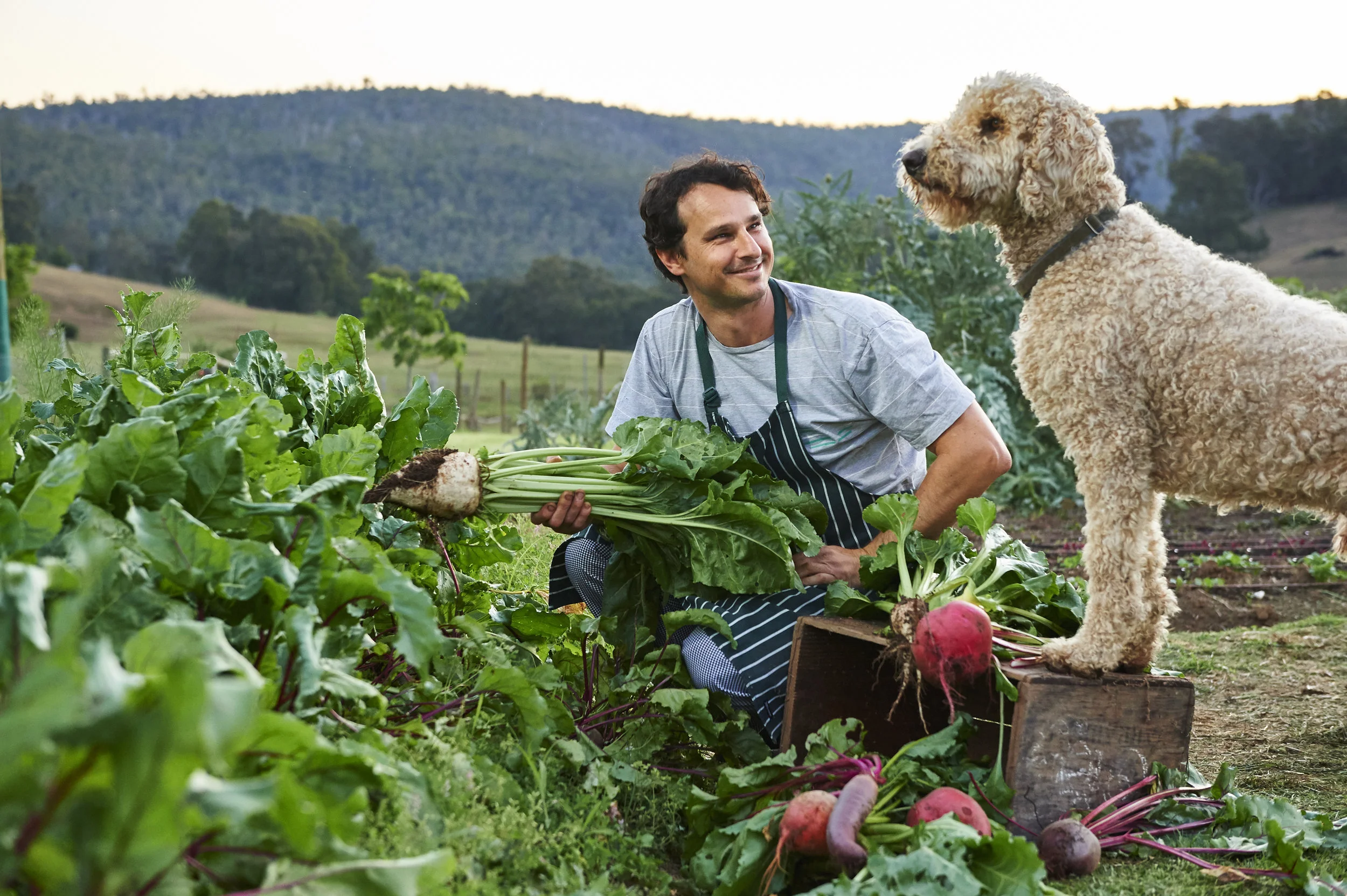 Episode 43: Award Winning Head Chef Guy Jefferys