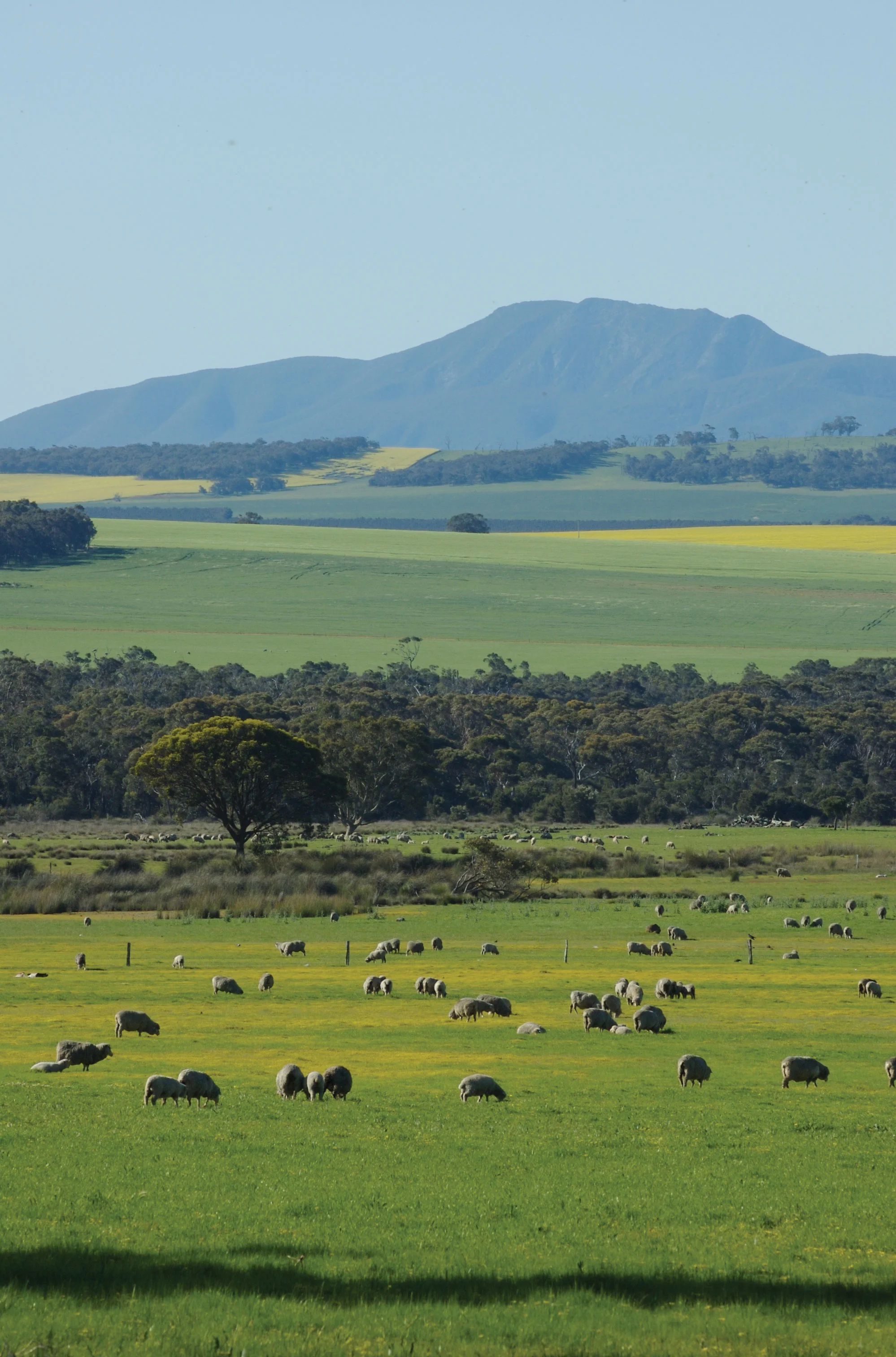 Episode 50: Sustainability Expert Chris Ferreira