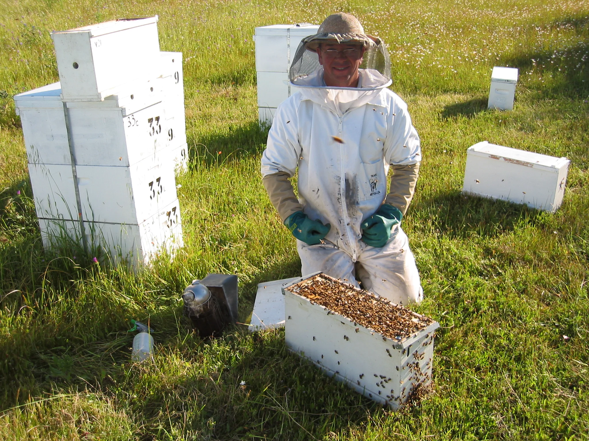 Episode 63: Apiarist Rupert Phillips shares his wealth of knowledge about our favourite pollinators