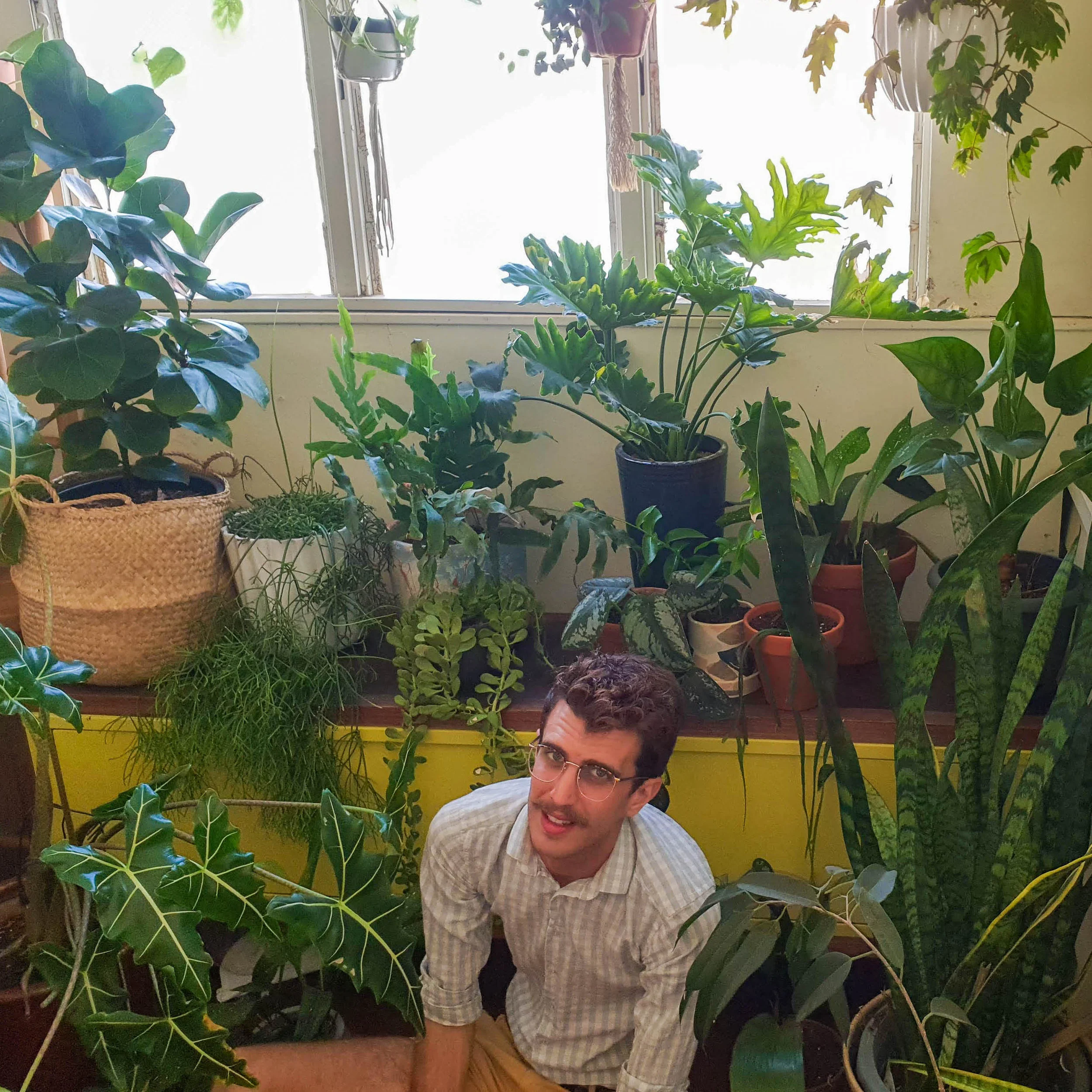 Episode 81: Indoor Plants - The Trend Continues