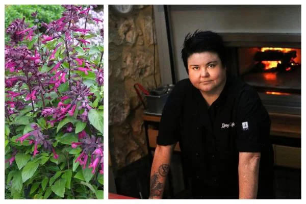 Episode 82: Perth Garden Festival Chef Melissa Palinkas and Salvias