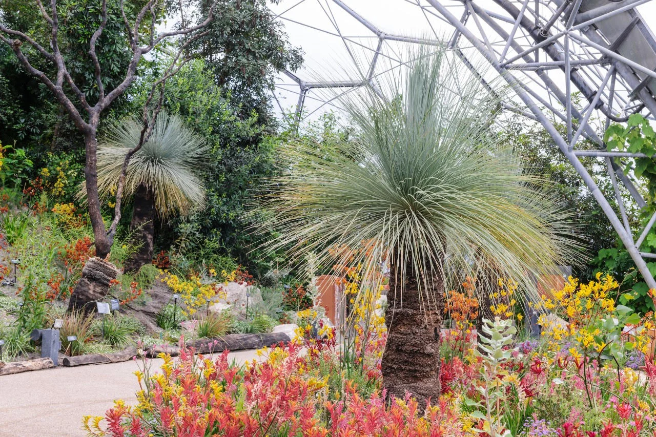 Episode 84: Alison Smith Kings Park Botanical Gardens and the Eden Project