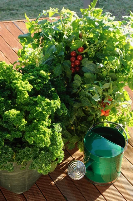 Episode 96: Spring Tasks in the Garden 