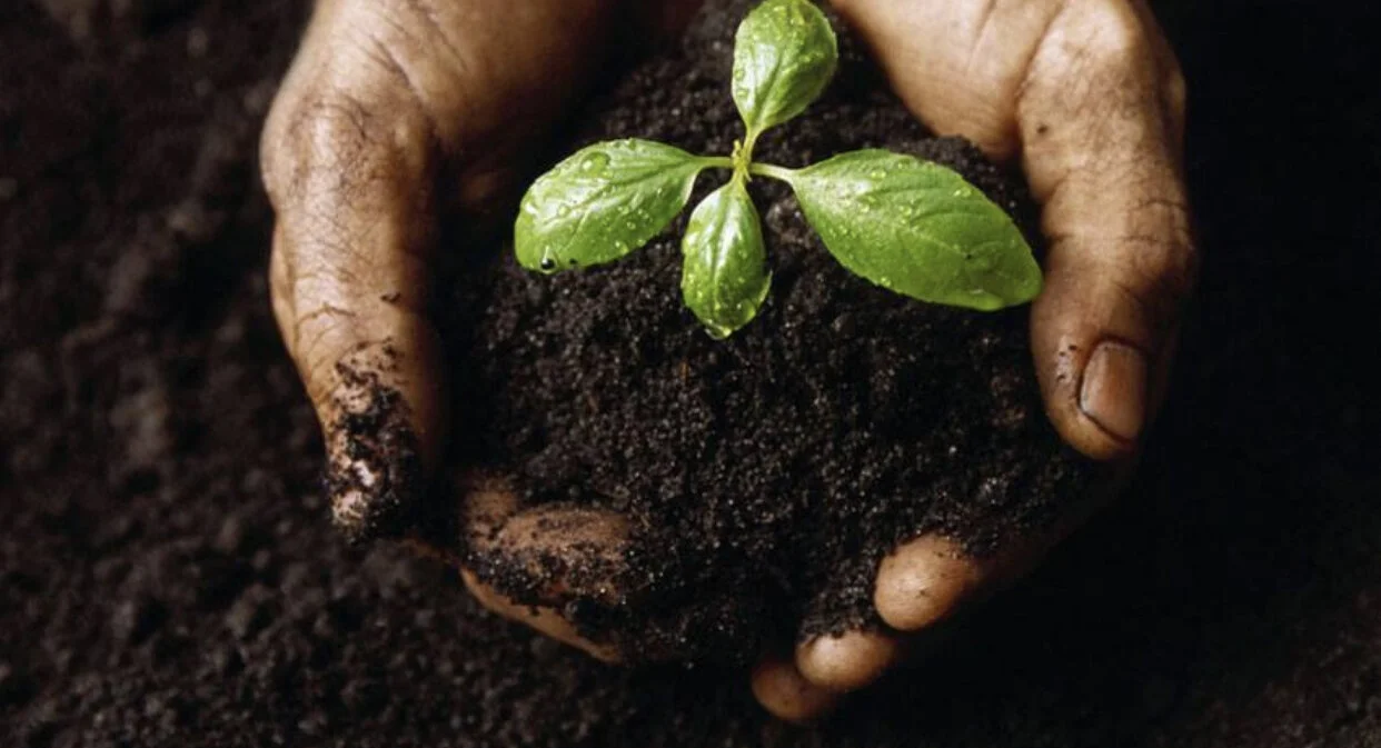 Episode 107: Brent Burns Building Healthy Soils For Our Farmers and Our Furture