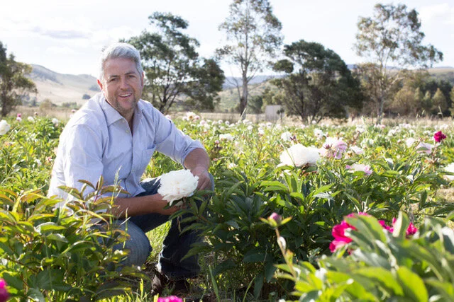 Episode 113: Olives, White Asparagus and Peony Roses 