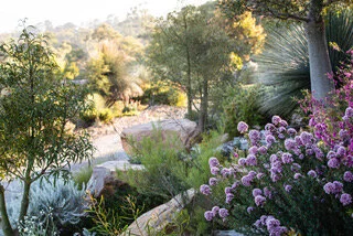 Episode 128: Philip Johnson "Winner Best In Show" Chealsea Flower Show