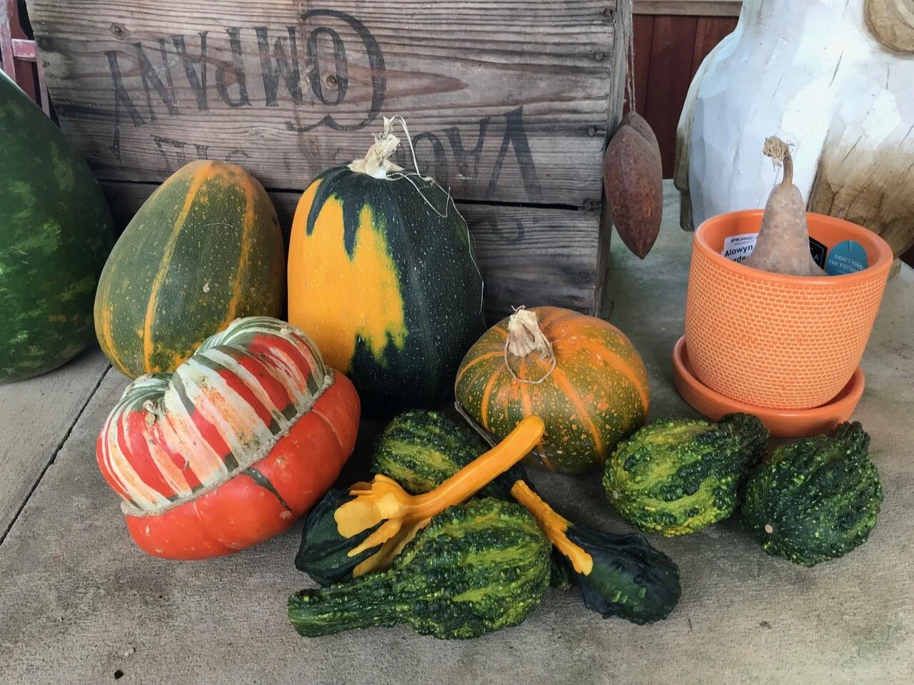 Episode 142: Autumn Our Favourite Time Of The Year