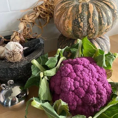 Episode 158: Growing Healthy Vegetables at home