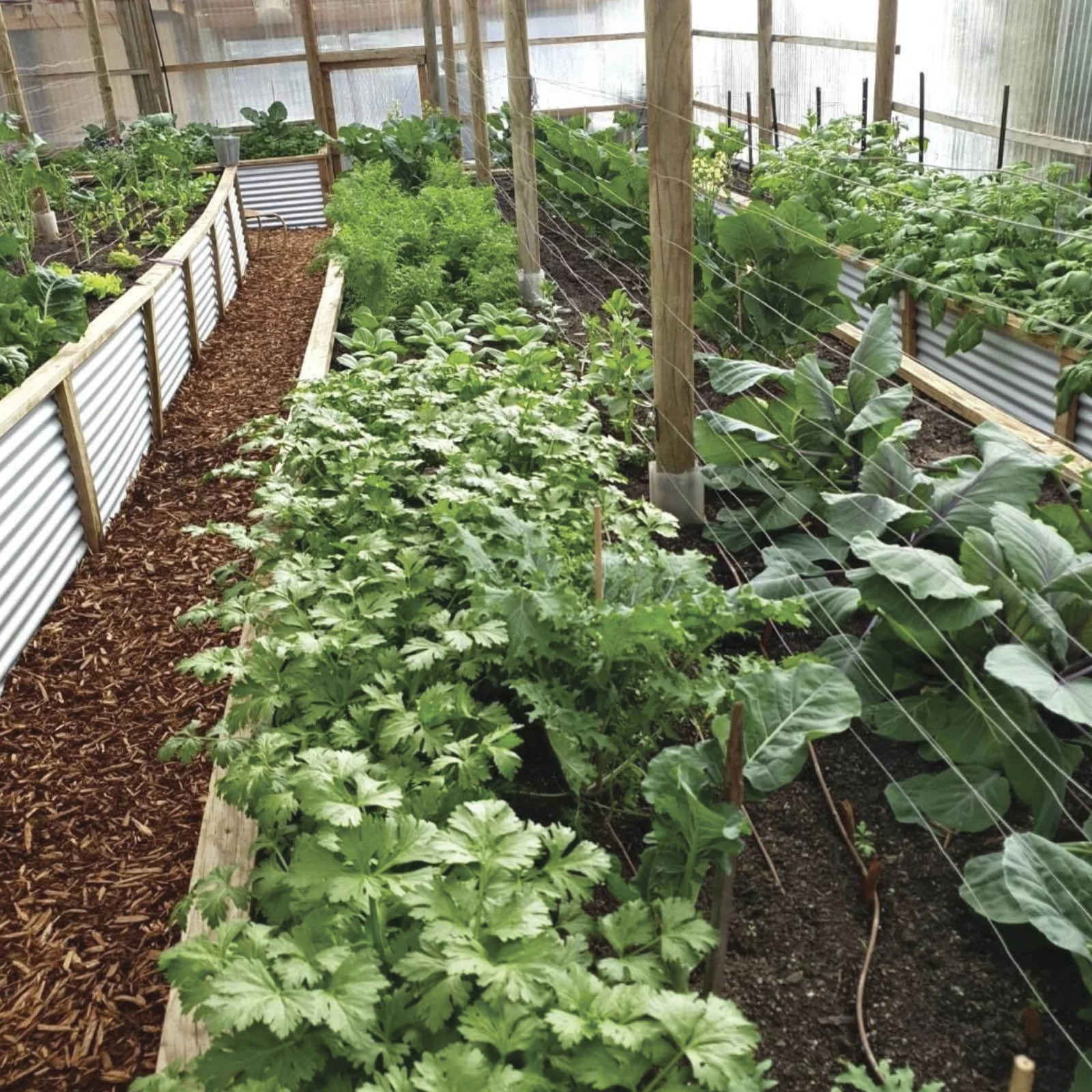 Episode 182: The Smart Veggie Patch Terry Memory