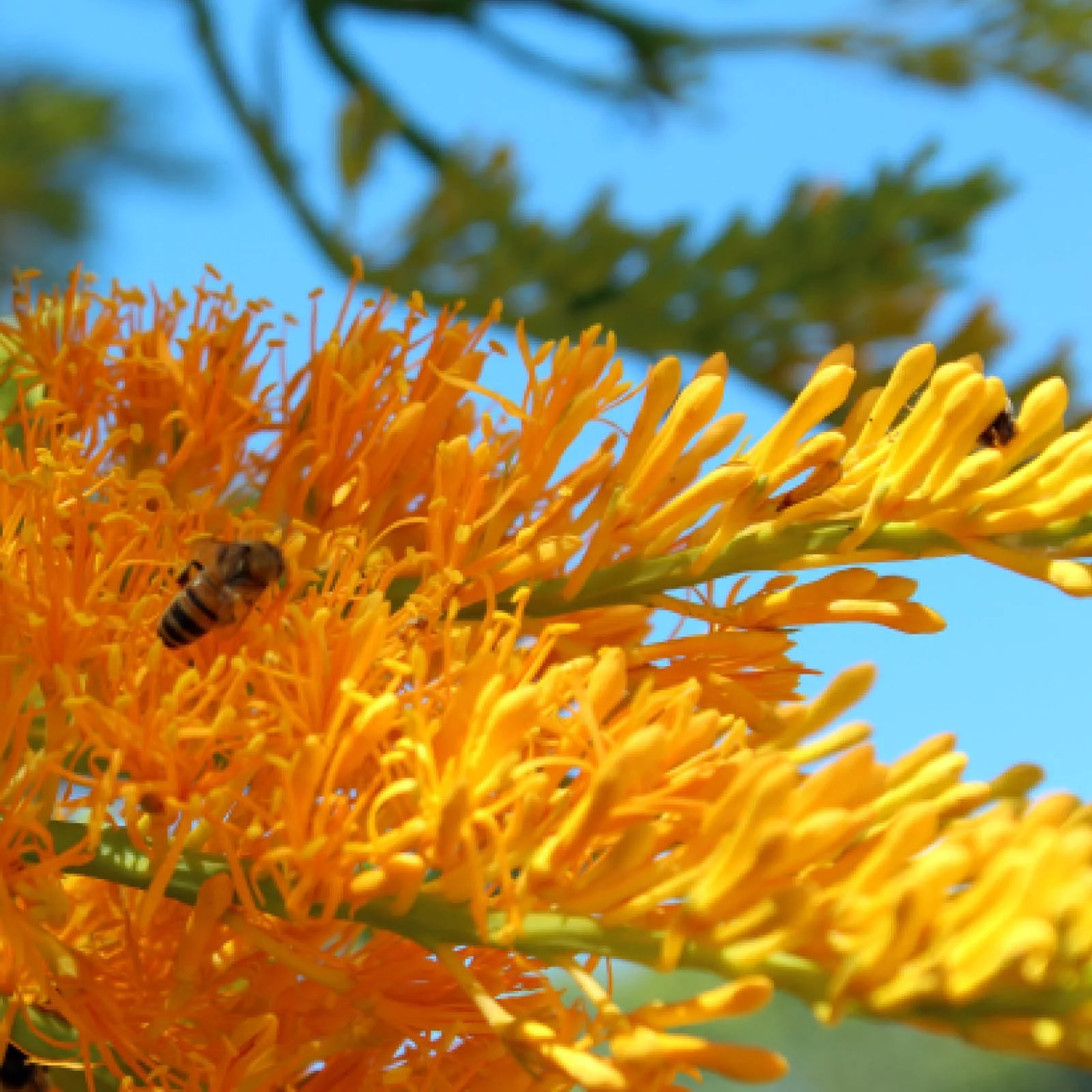 Episode 188 : Summer in the Garden