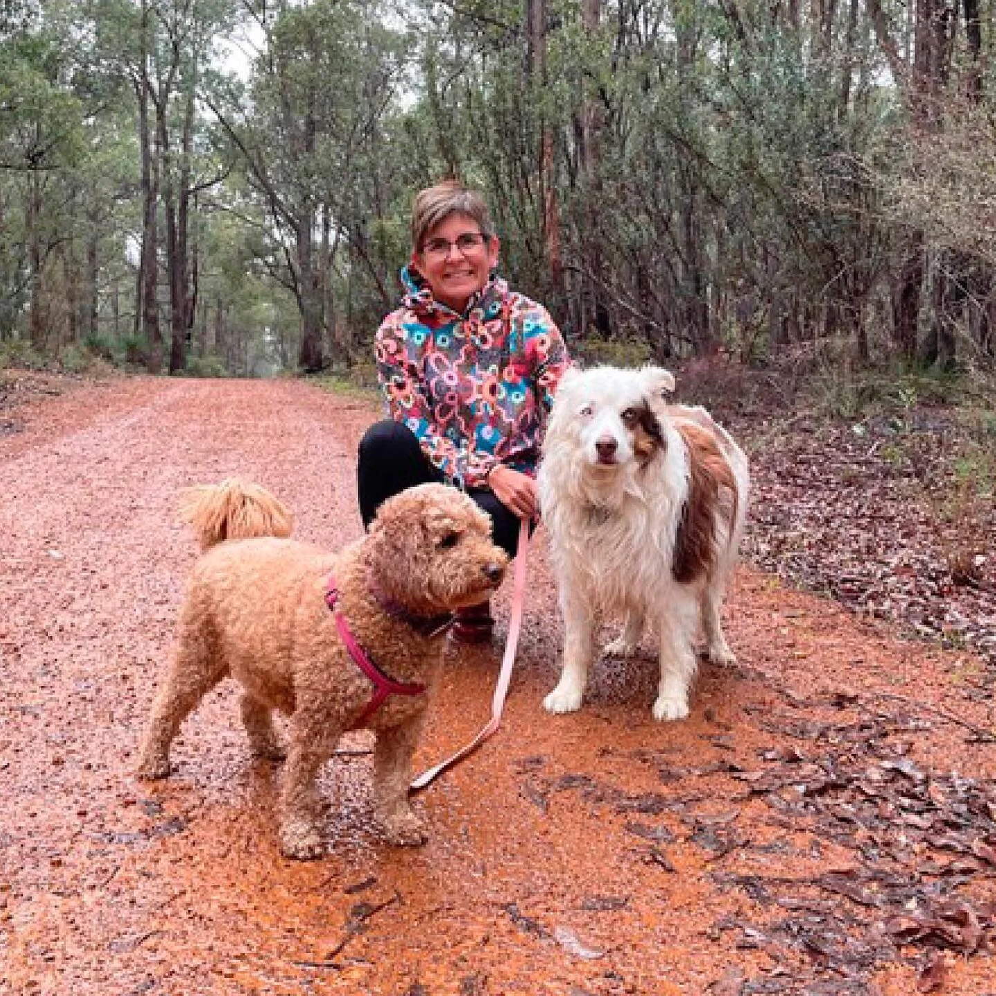 All The Dirt Podcast Gardening, Sustainability and Food