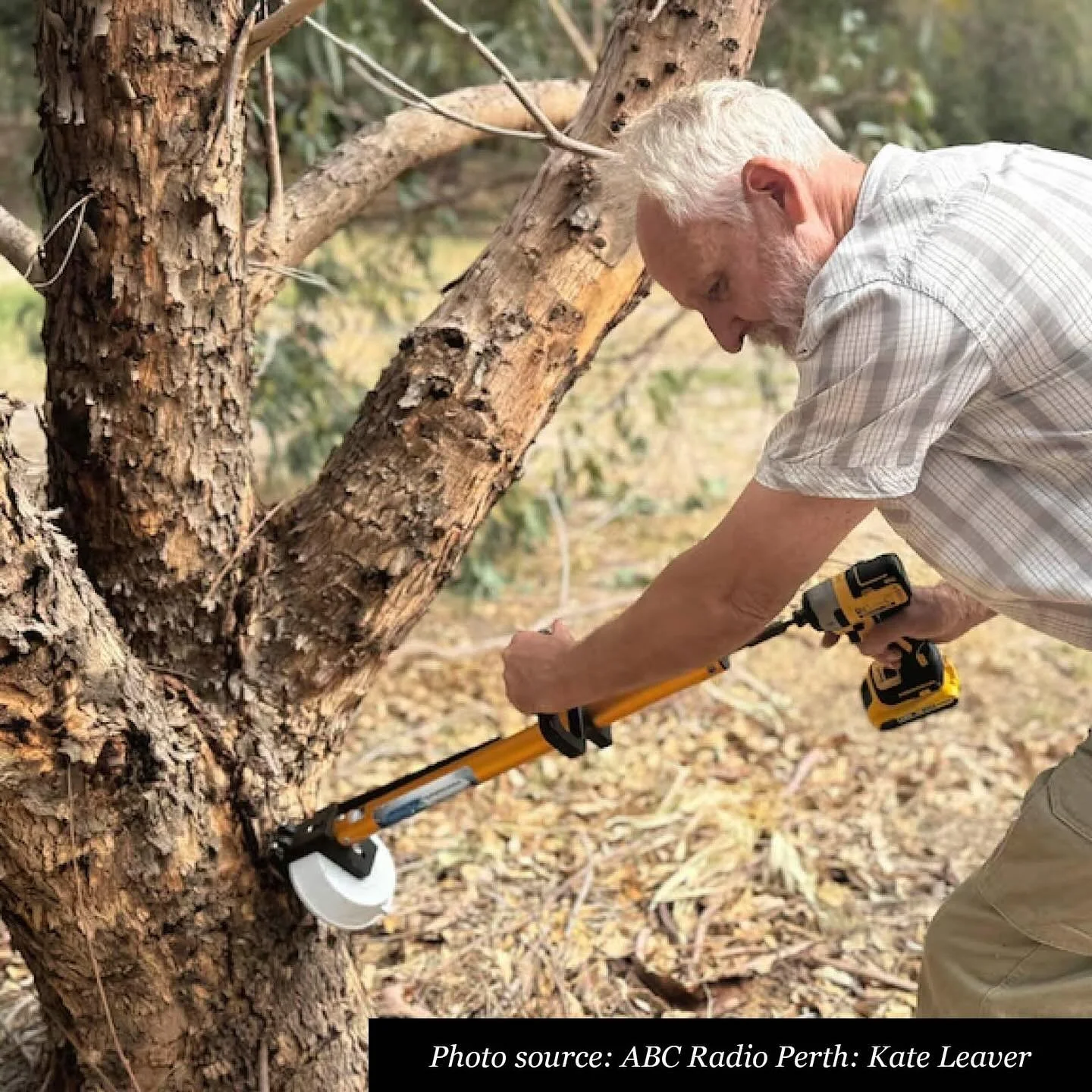 Episode 255 : Polyphagous Shot - Hole Borer: John Szymanski
John has dedicated years of his life to the eradication of horticultural pests and diseases. He has now turned his attention to one of the most destructive pests to have ever entered Austral