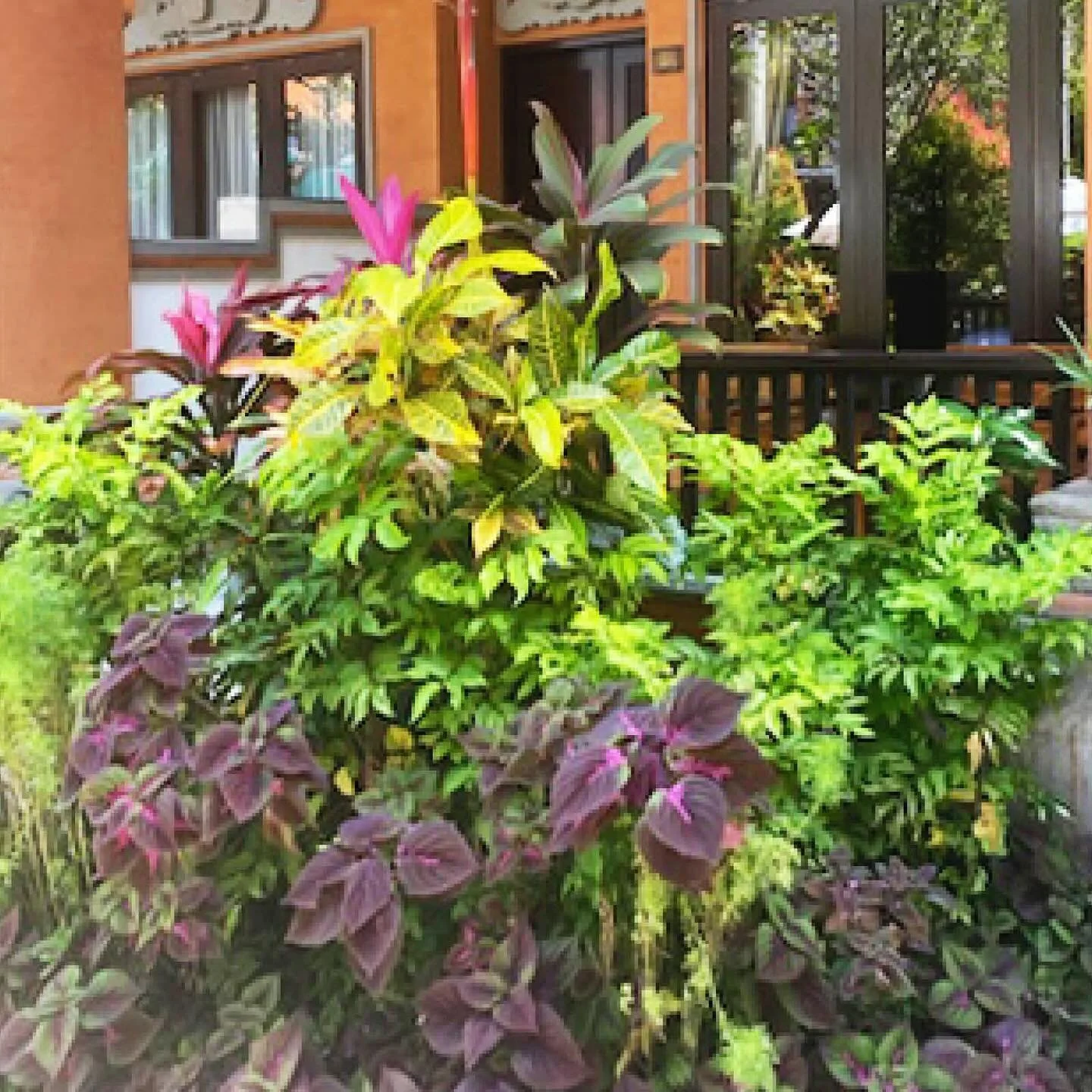 Episode 257 : Tropical Gardens and Spring Banter 🌺💐🌸
Steve and Deryn chat about creating a tropical garden and catch up on what they have been up to in their own gardens. Our thoughts go out to the Balinese community after recent devastating flood