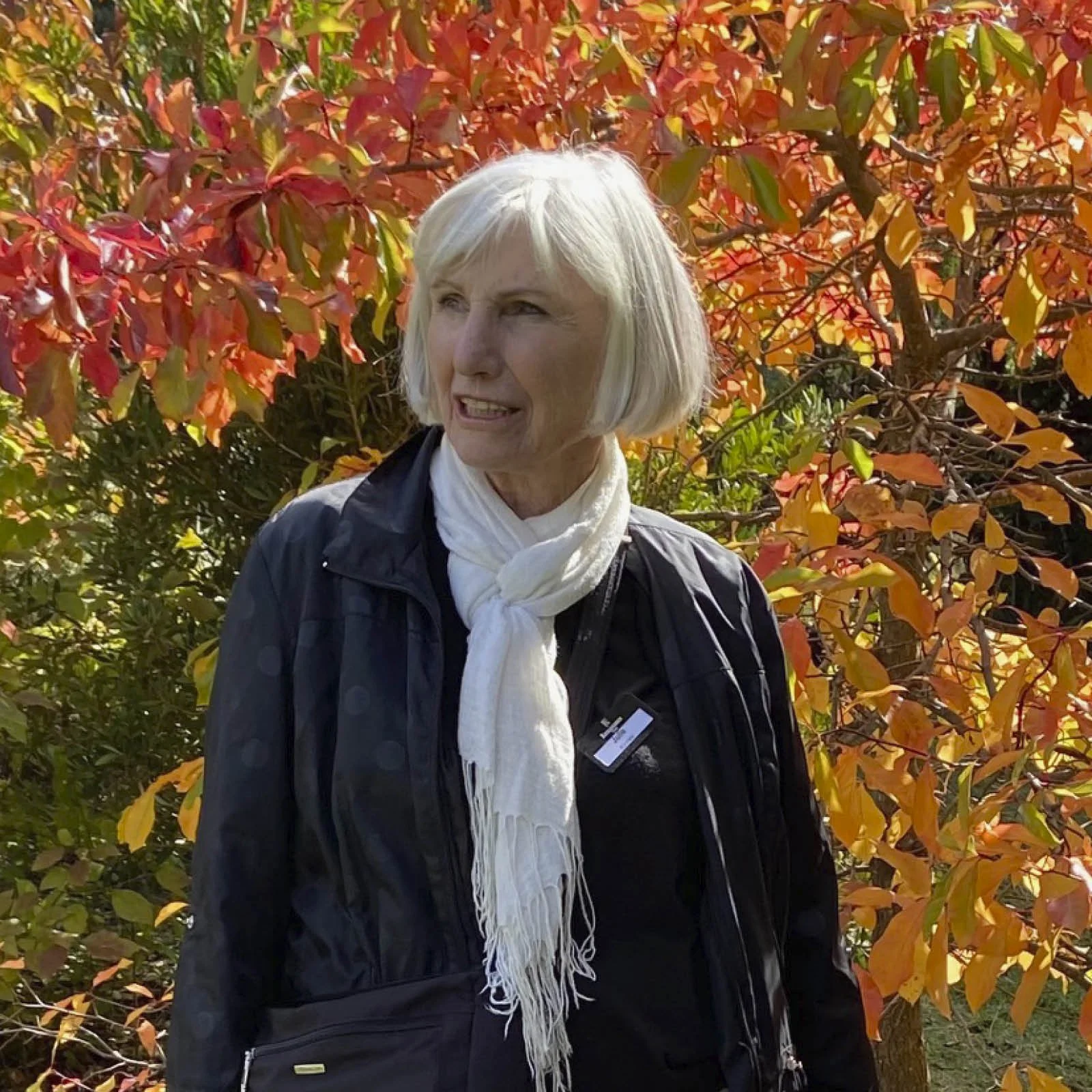 Episode 262 : Julie Kinney Mediterranean Gardens