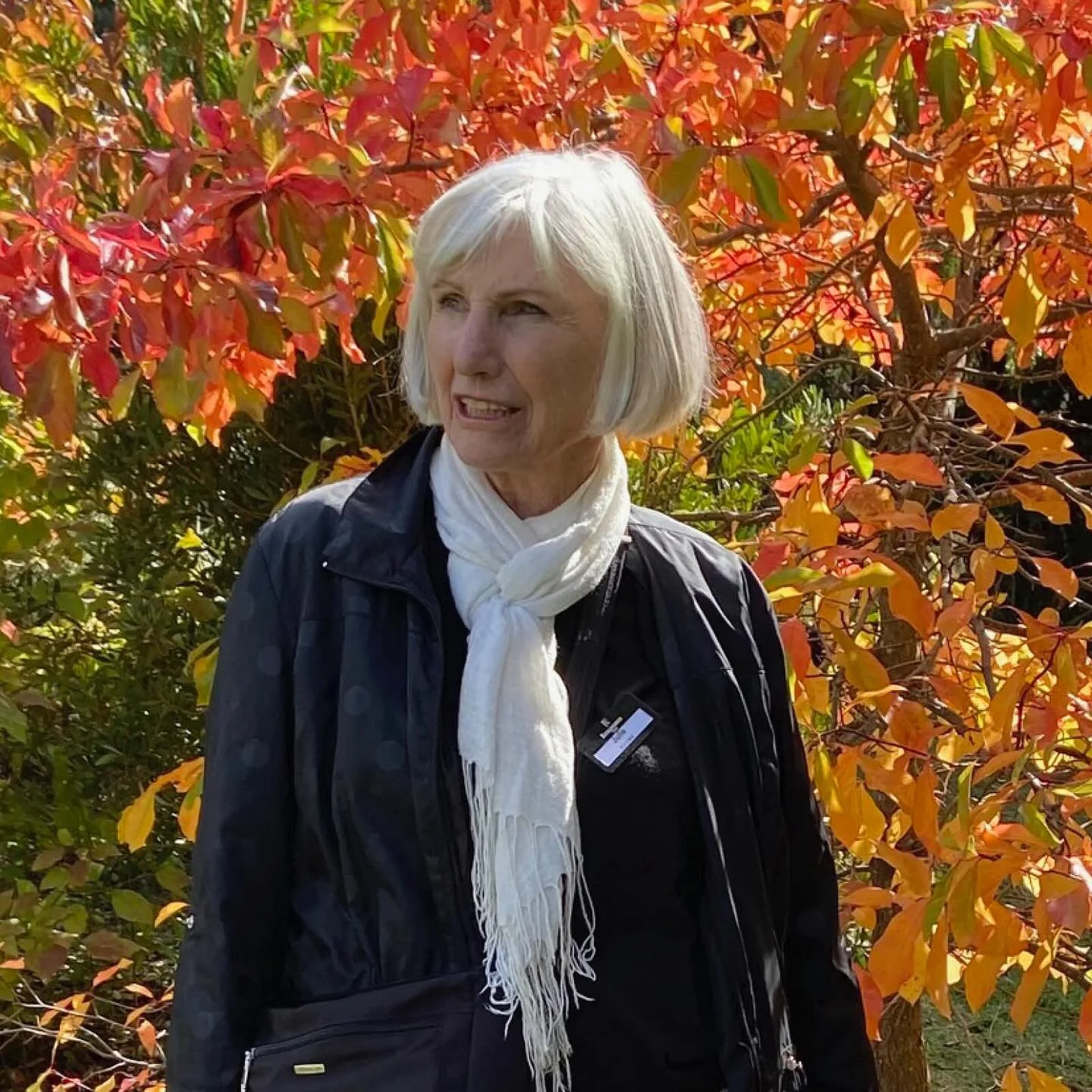 Episode 262 : Julie Kinney Mediterranean Gardens
Steve talks with Julie Kinney @kinney6259 and her long time passion for the low maintenance, drought tolerant, yet colourful world of Mediterranean Gardens. 
Enjoy! 😀

#mediterraneangardens #juliekinn