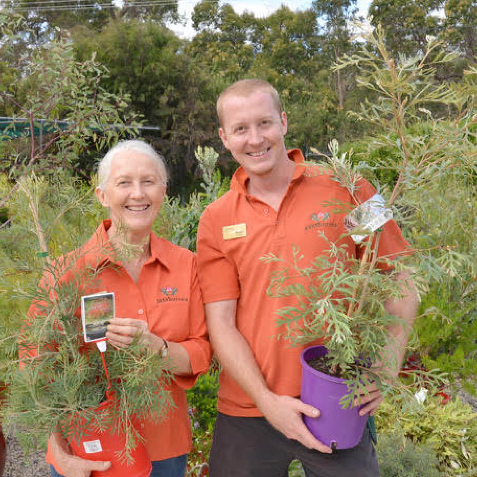 Episode 263 : Zanthorrea Nursery