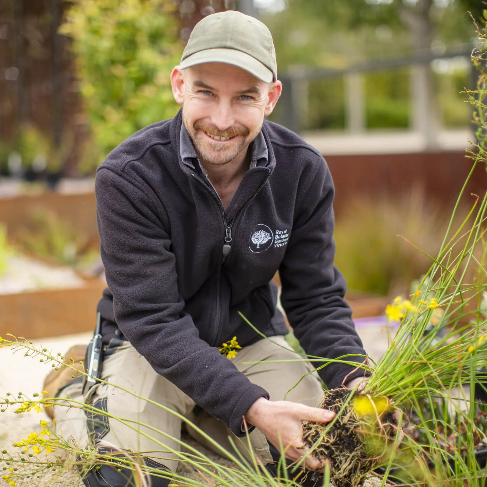 Episode 279 : Cranbourne Gardens Australian Native Plant Spectacular
