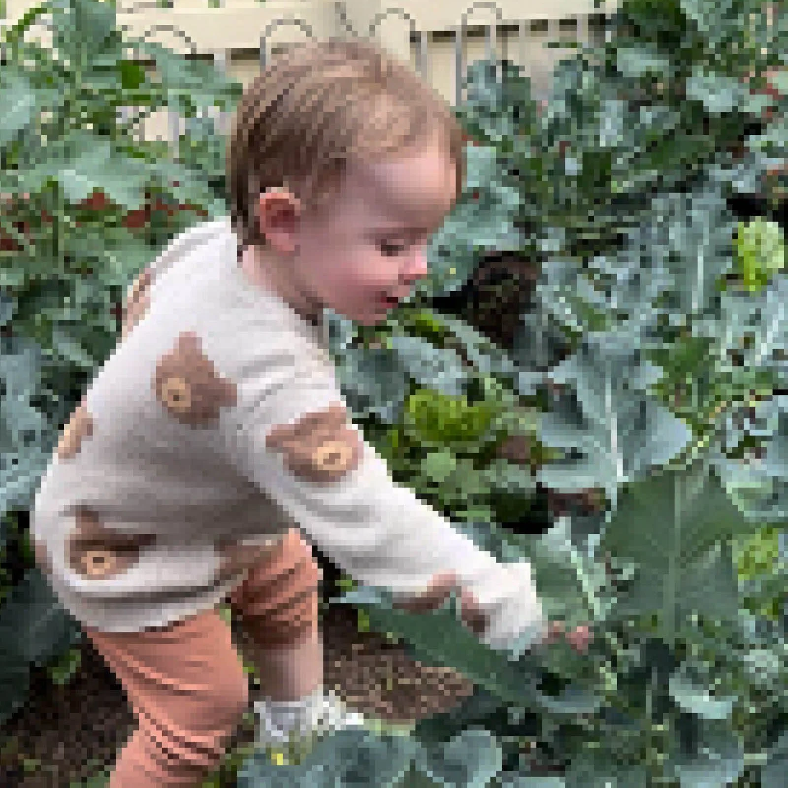 Episode 278 : Kids in the Garden