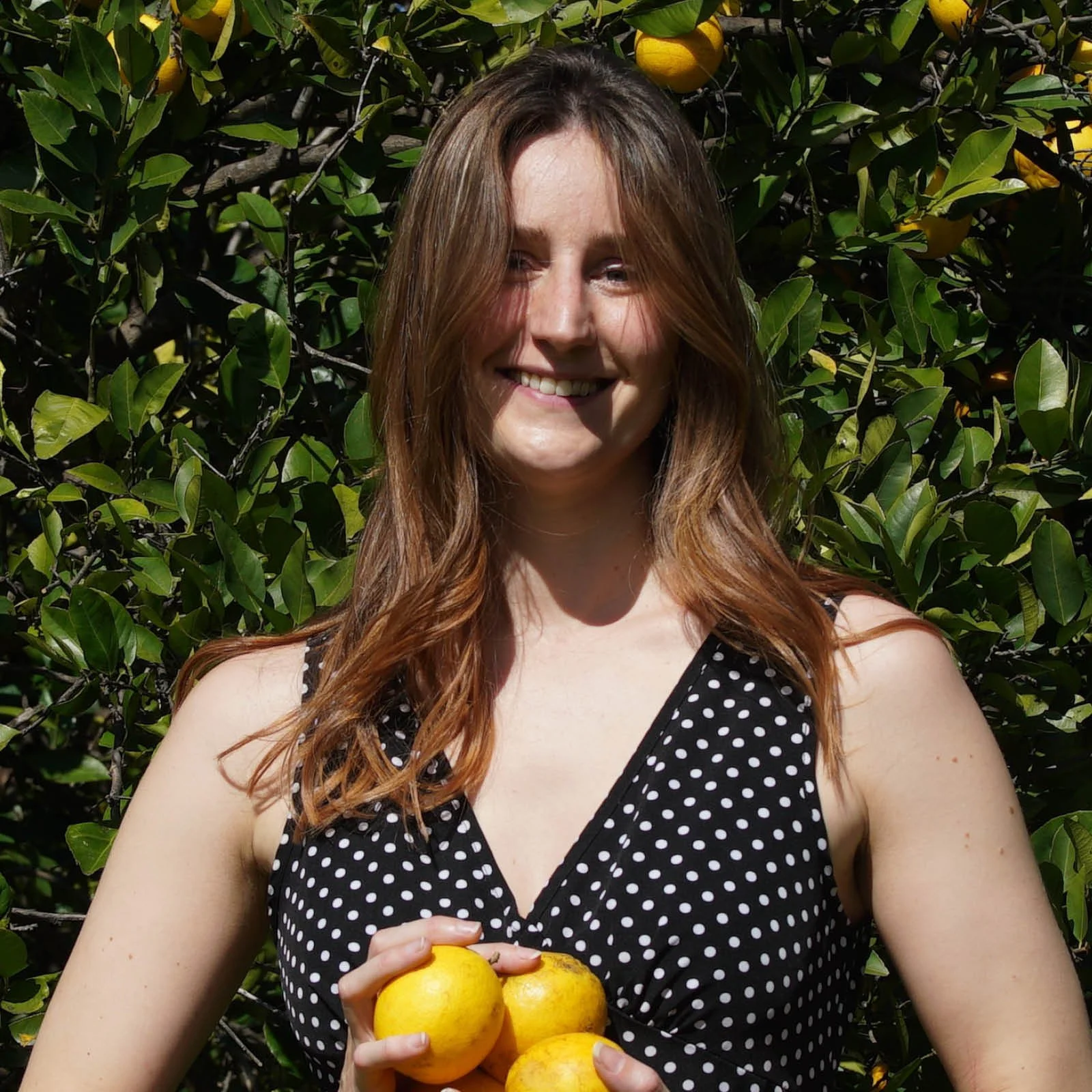 Episode 281 : Incaberry Your Local Food App