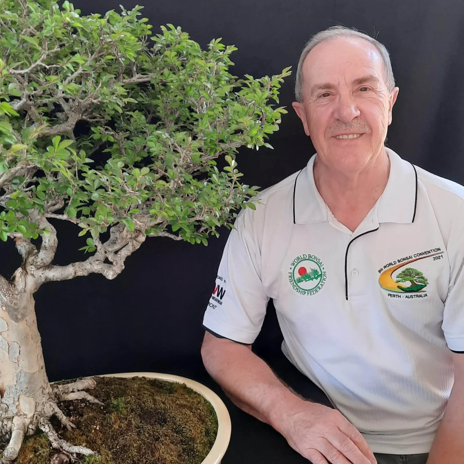 Episode 285: The Art Of Bonsai
