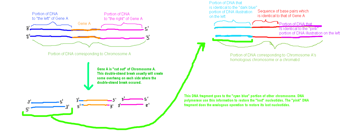  Figure 4 (click to enlarge)